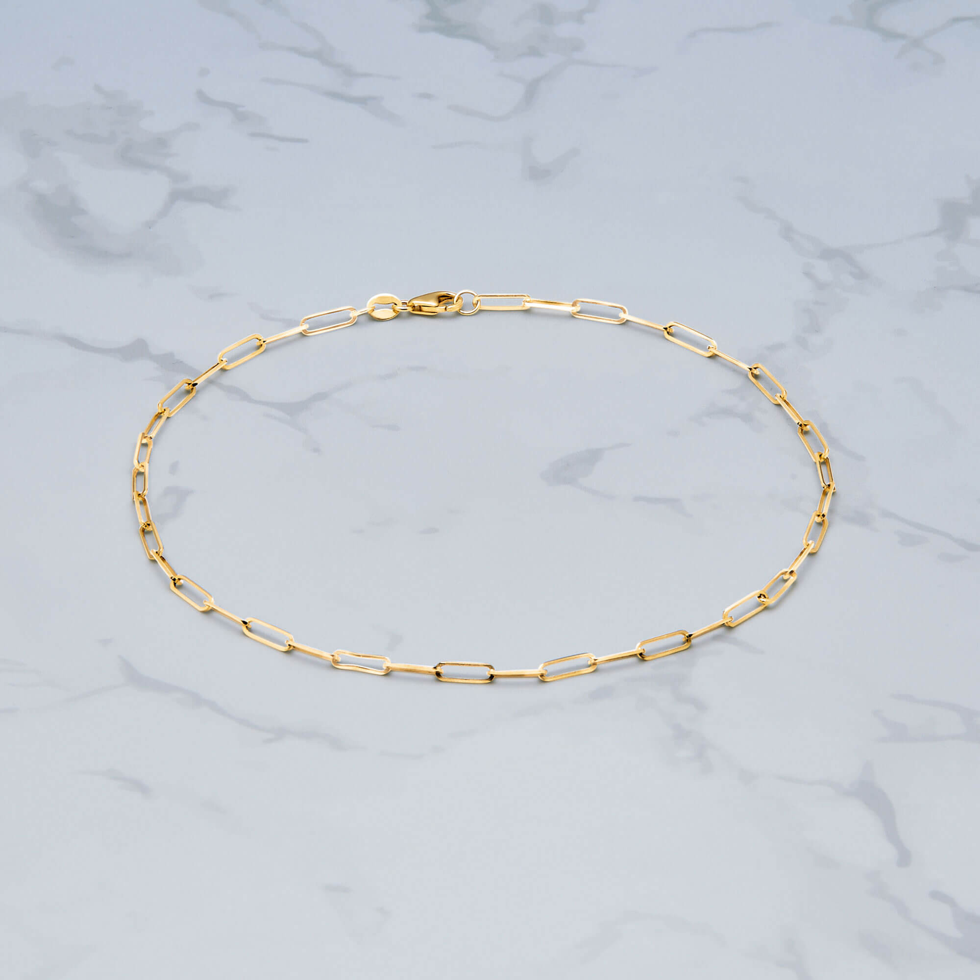 Paperclip Anklet - 4
