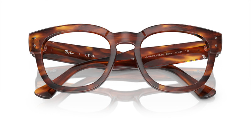 Ray-Ban MEGA HAWKEYE OPTICS outlook