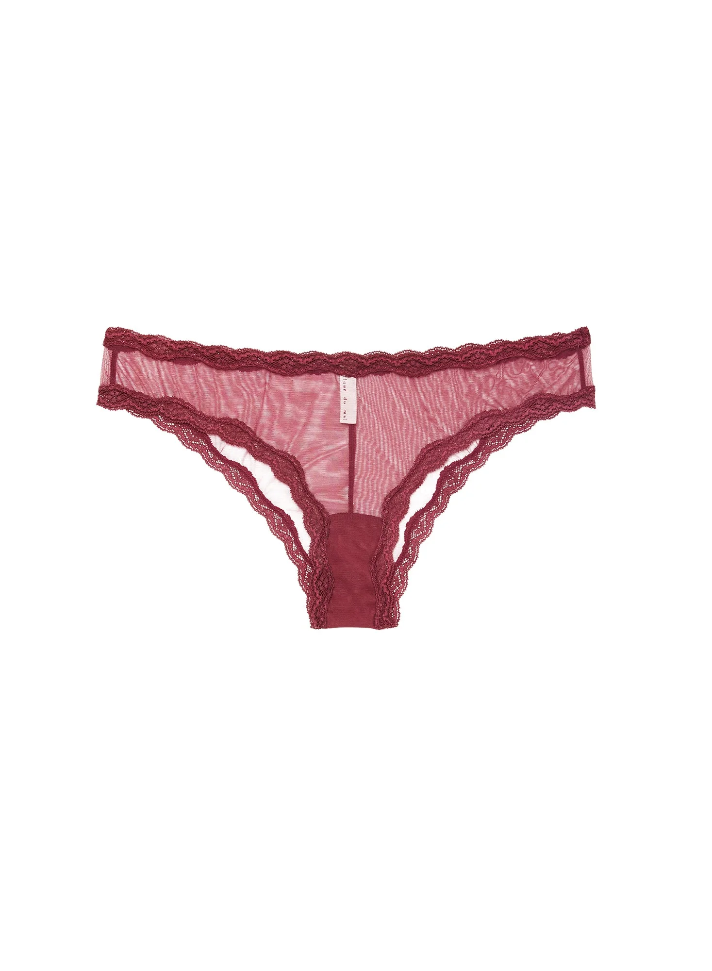 Sheer Tulle Bikini - 1