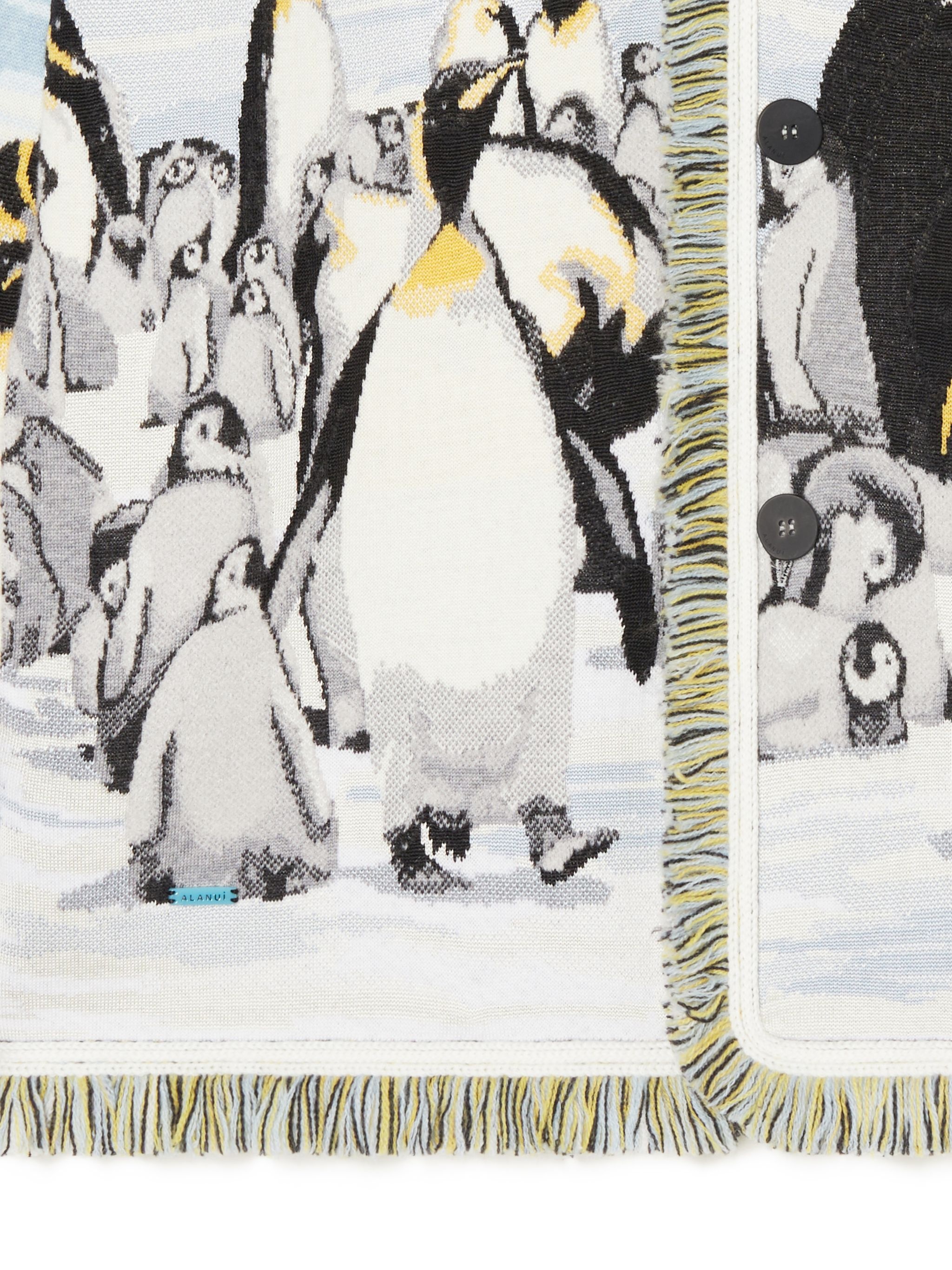 Postcard From Antarctic Cardi - 9