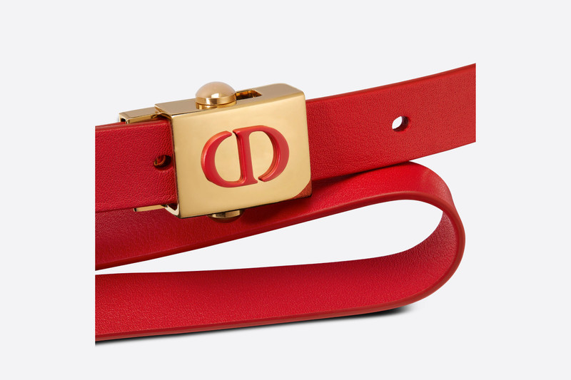 Dior Diorpolytechnique Belt outlook