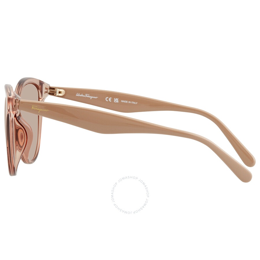 Salvatore Ferragamo Beige Cat Eye Ladies Sunglasses SF1073S 278 54 - 4