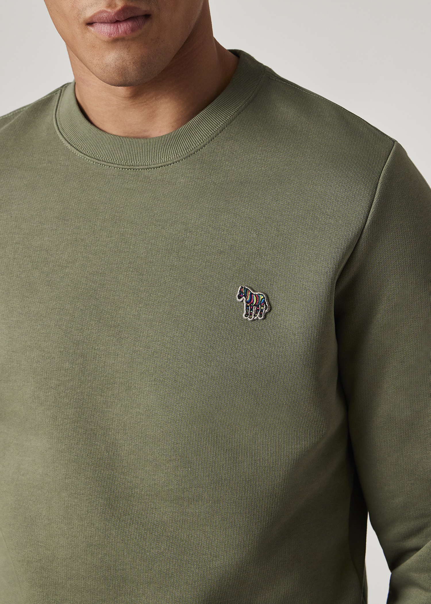 Washed Green Organic Cotton Zebra Logo Sweatshirt - 3