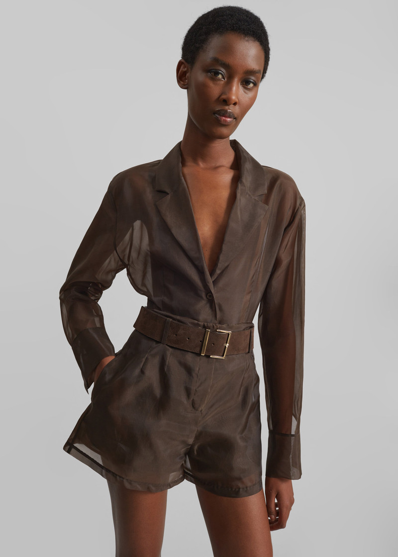 Lise Sheer Shorts - Brown 5