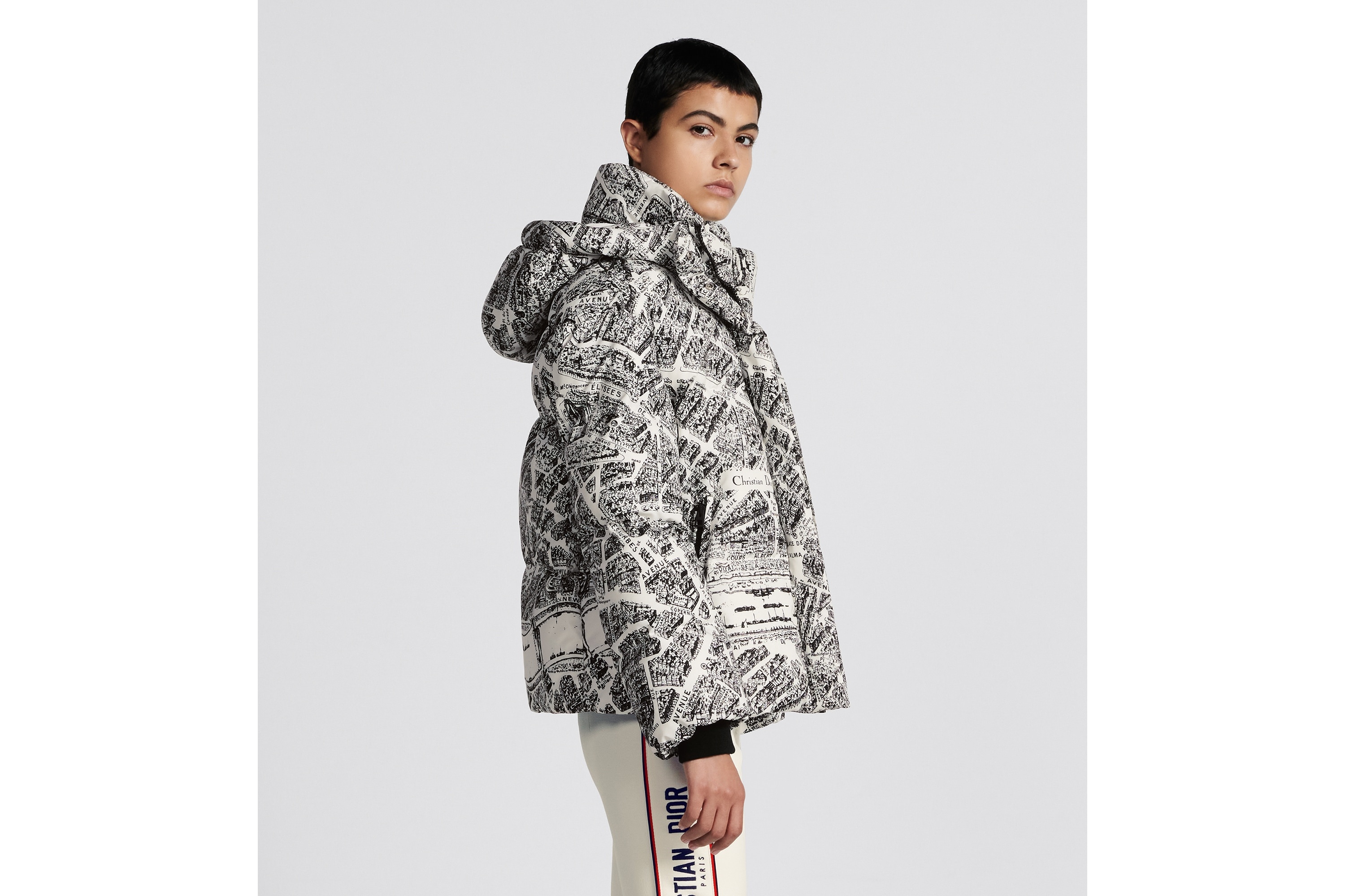 DiorAlps Hooded Puffer Jacket - 3