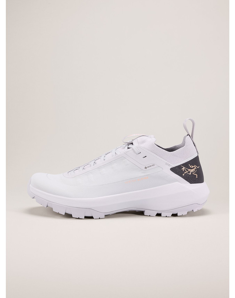 Vertex Alpine GTX Shoe 1