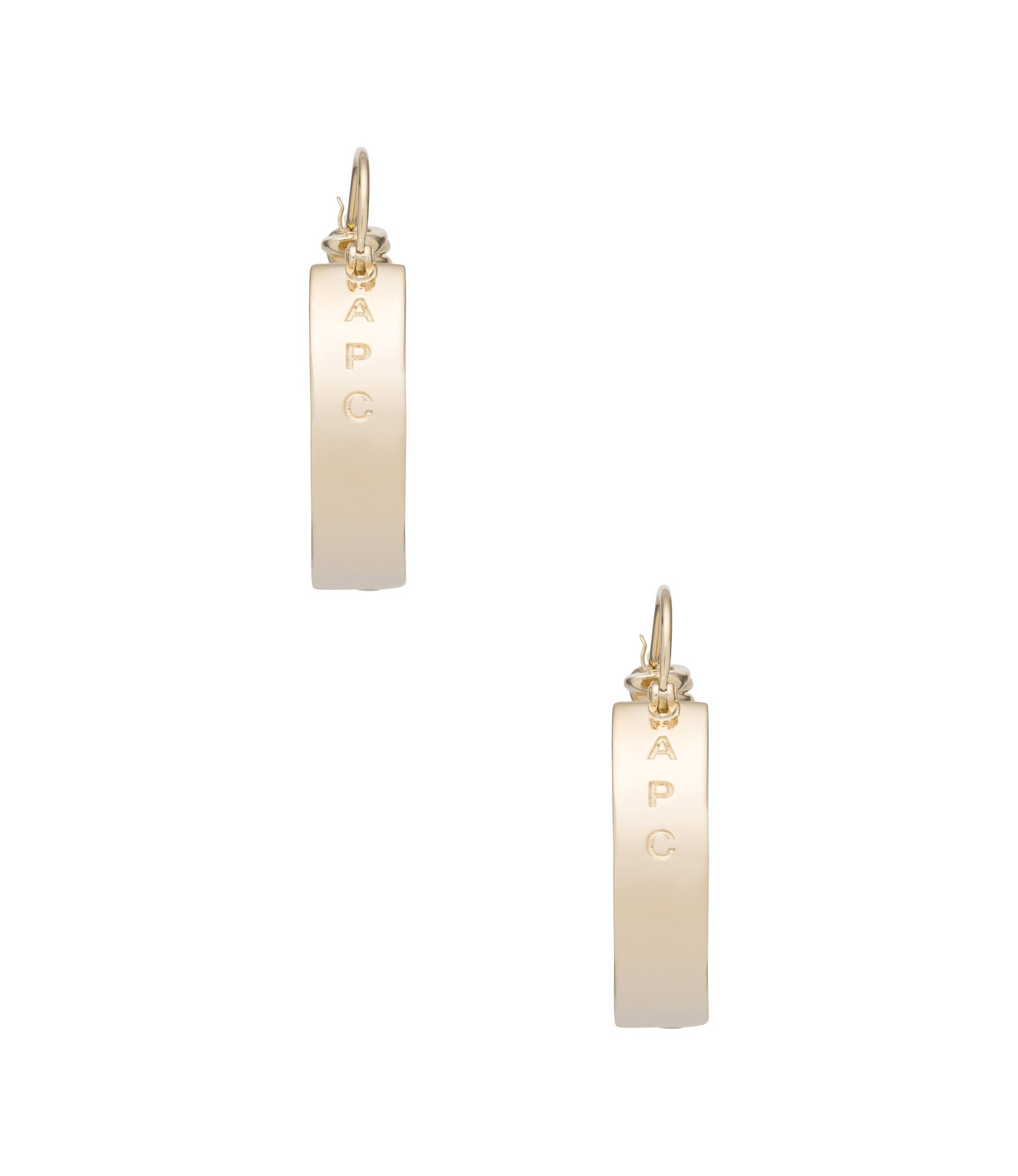 Darwin earrings - 2