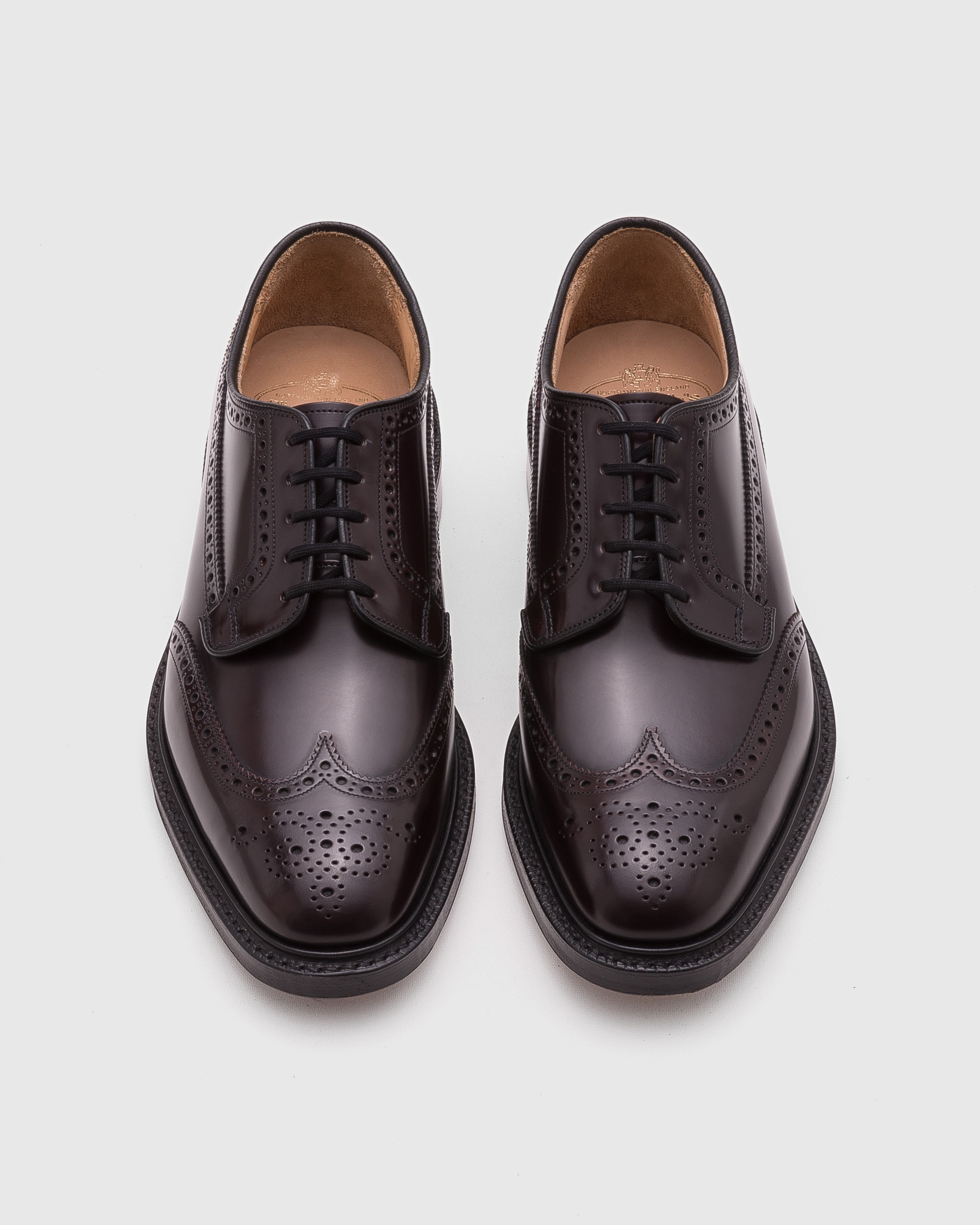 Polished Binder Derby Brogue - 5