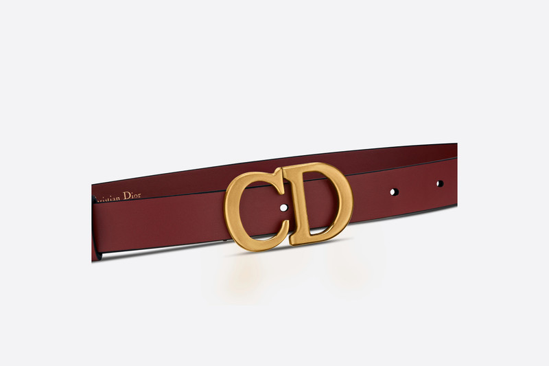 Dior Saddle Belt outlook