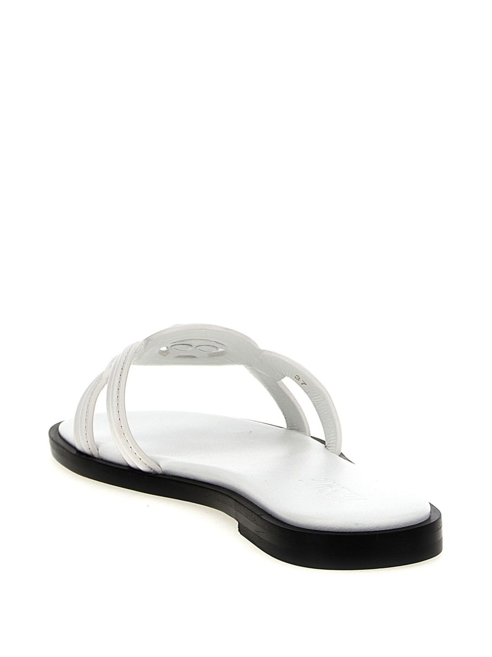 Medusa 95 slides - 3