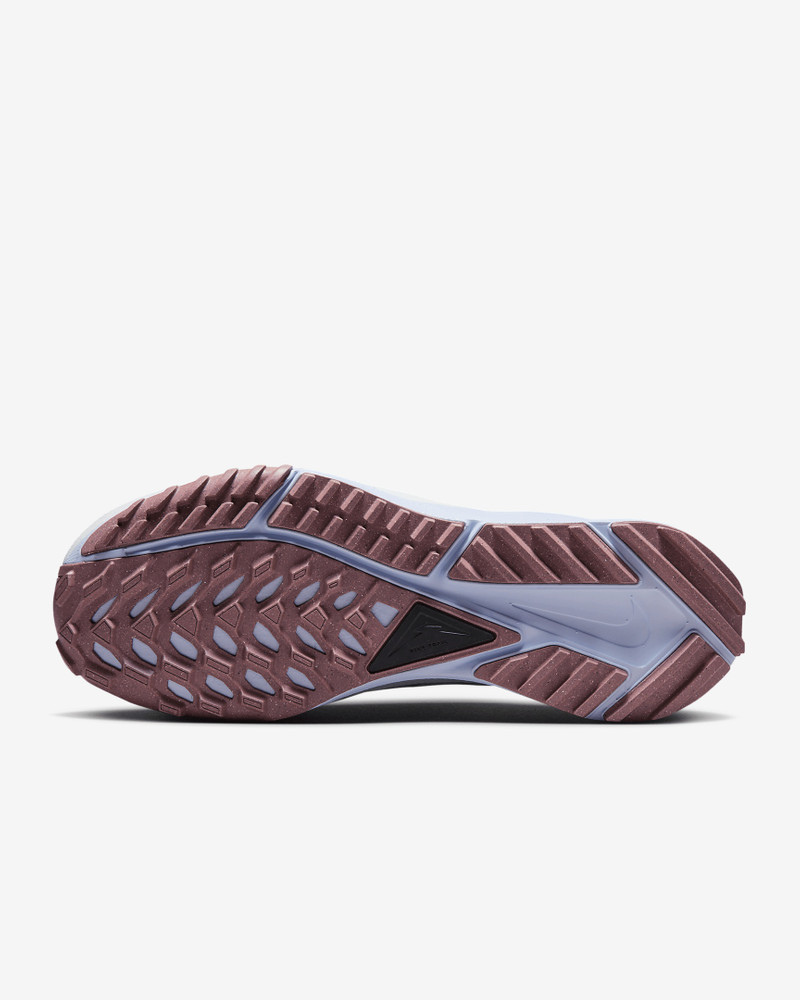 Nike Nike Women's Pegasus Trail 4 Trail Running Shoes outlook