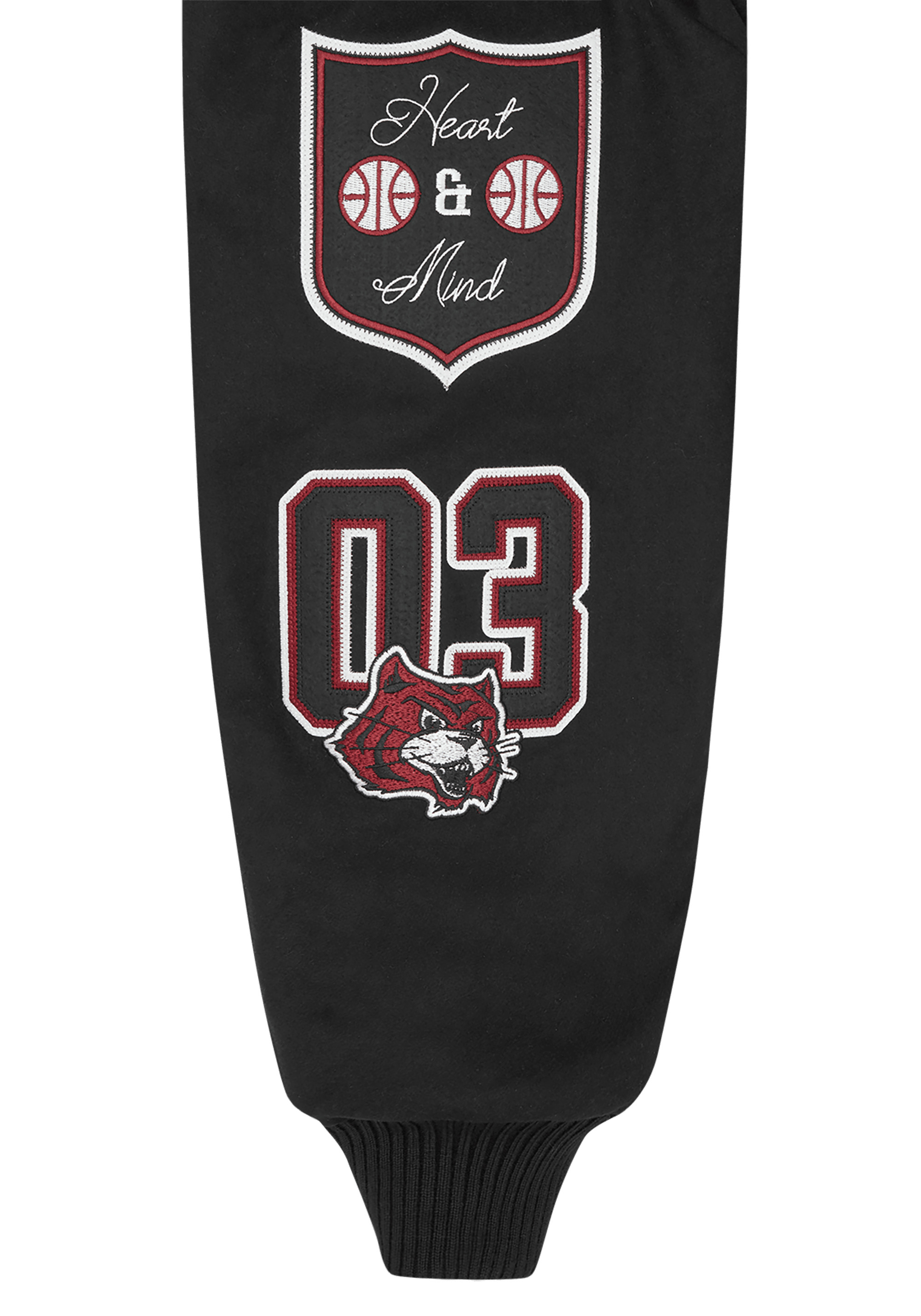 ALUMNI COLLARED VARSITY JACKET - 9