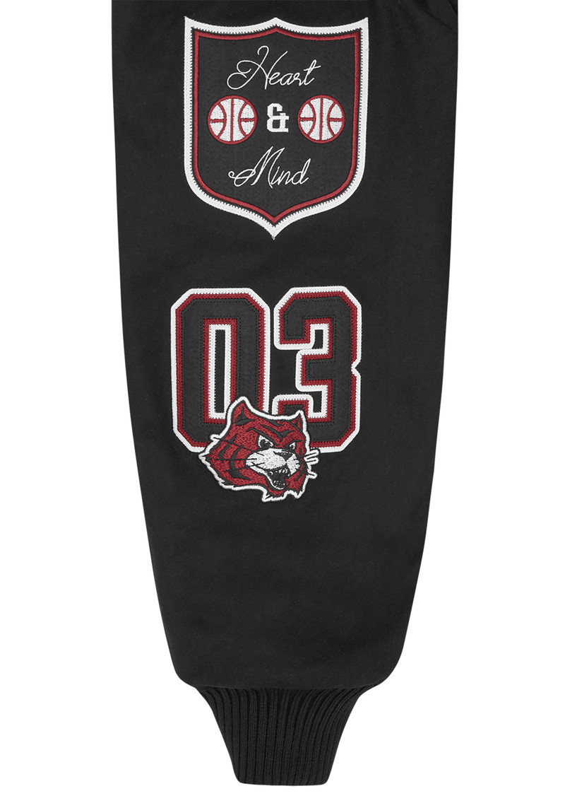 ALUMNI COLLARED VARSITY JACKET 9