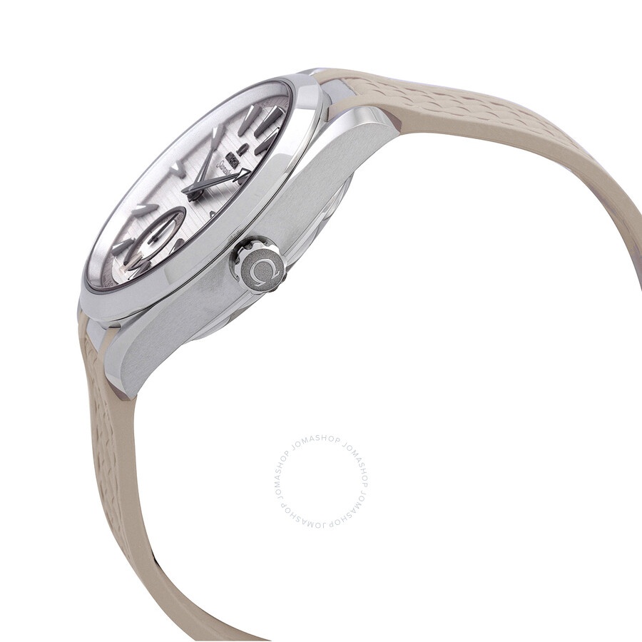 Omega Seamaster Automatic Grey Dial Men's Watch 220.12.41.21.02.005 - 2