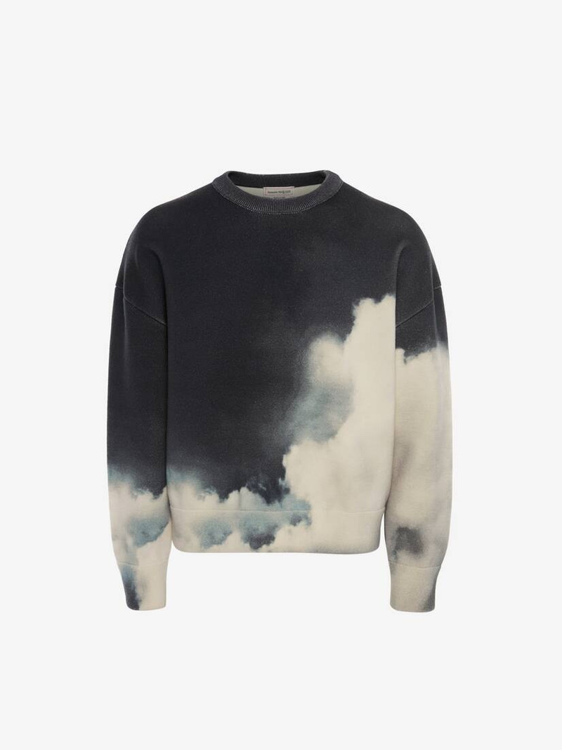 Storm Sky Sweatshirt in Ink/ivory 1