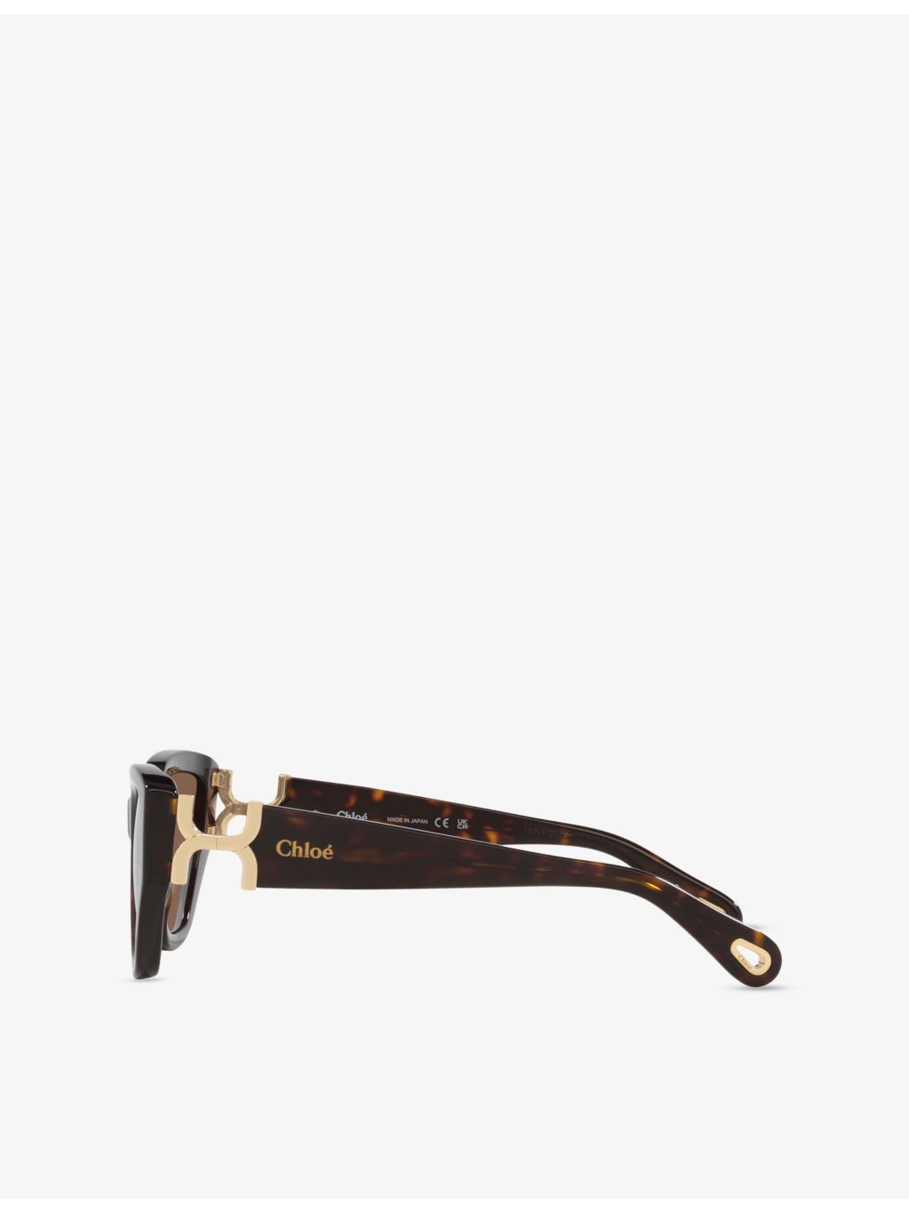CH0235S Cat-Eye Acetate Sunglasses - 3