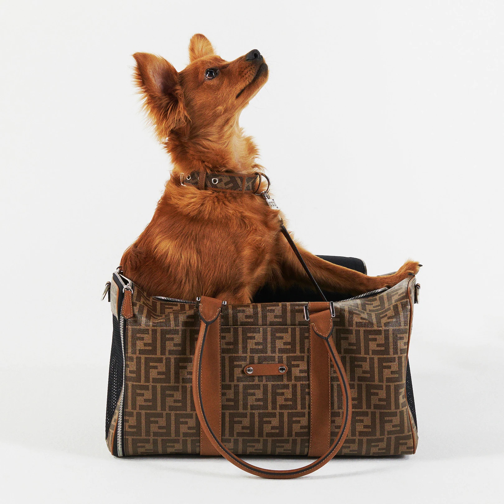 Brown fabric dog carrier - 5