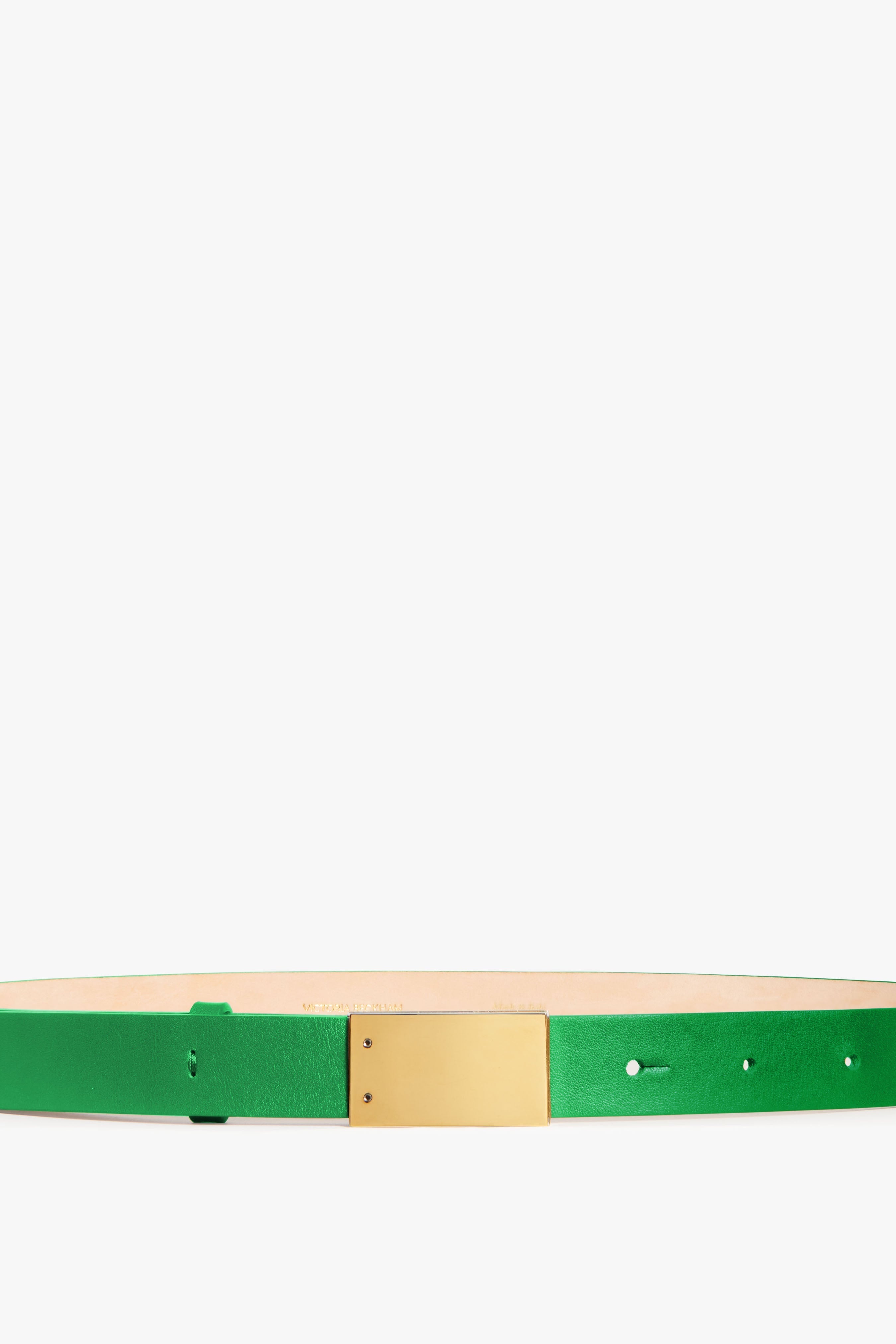 Thin Belt With Plaque Buckle in Green - 2