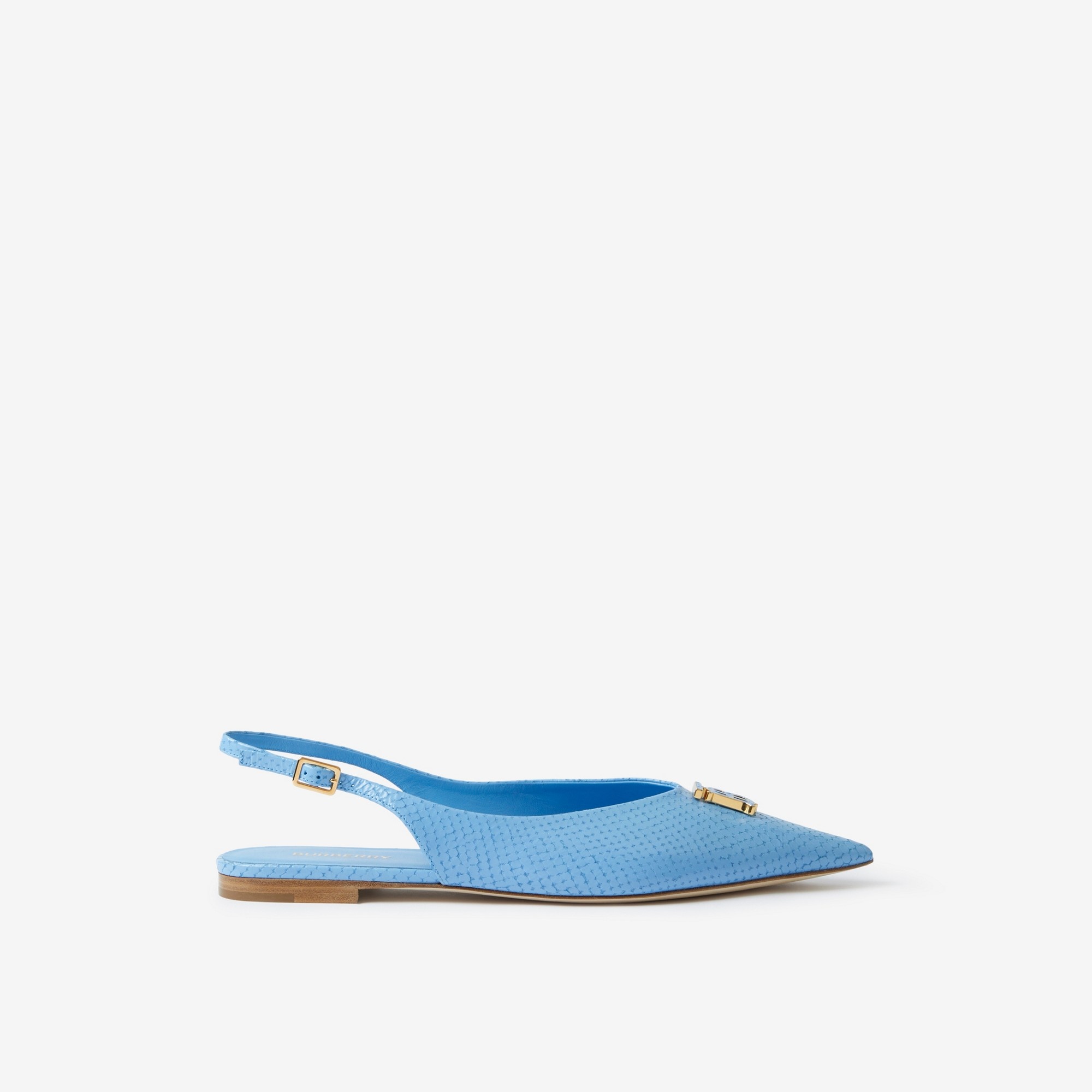 Monogram Motif Leather Slingback Point-toe Ballerinas - 1