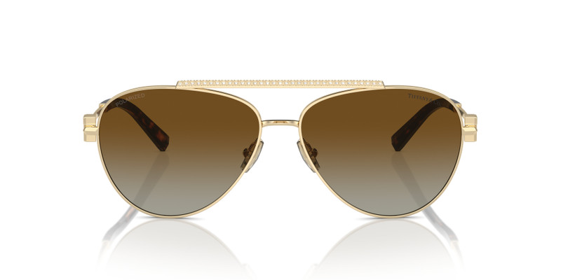Tiffany & Co. TF3101B outlook