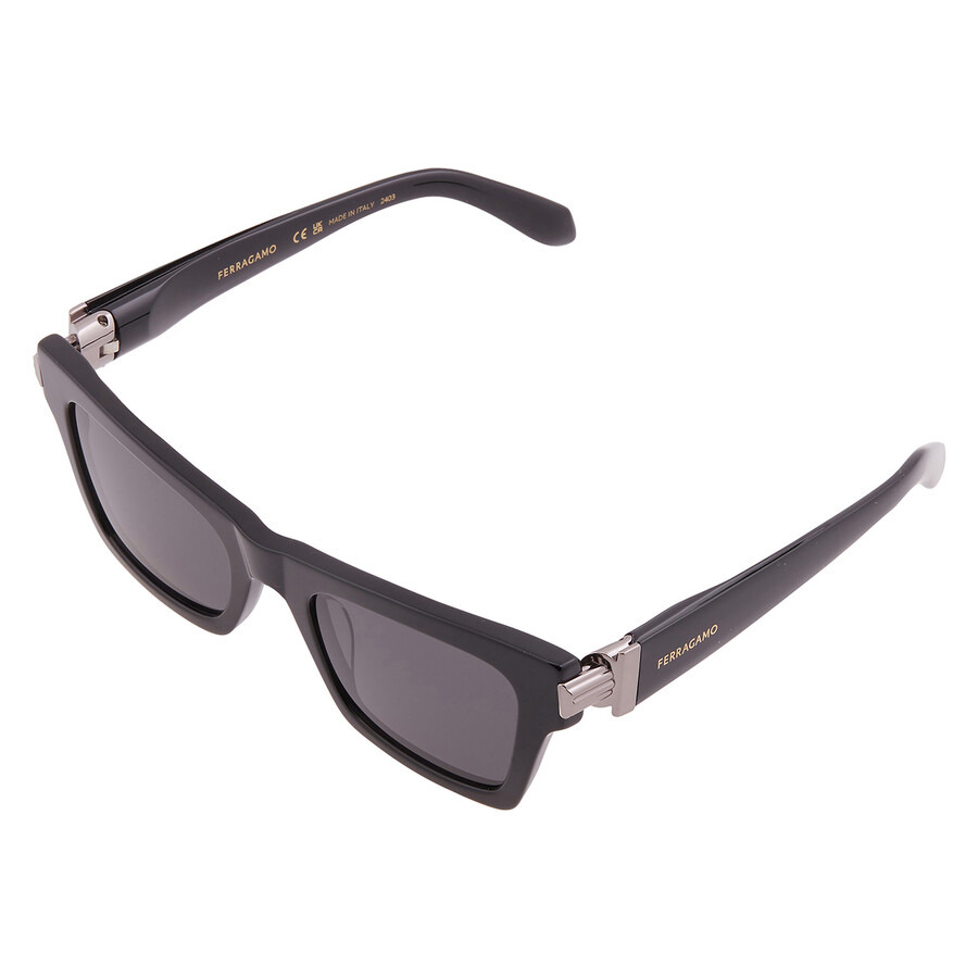 Ferragamo Grey Cat Eye Ladies Sunglasses SF2013S 001 52 - 3