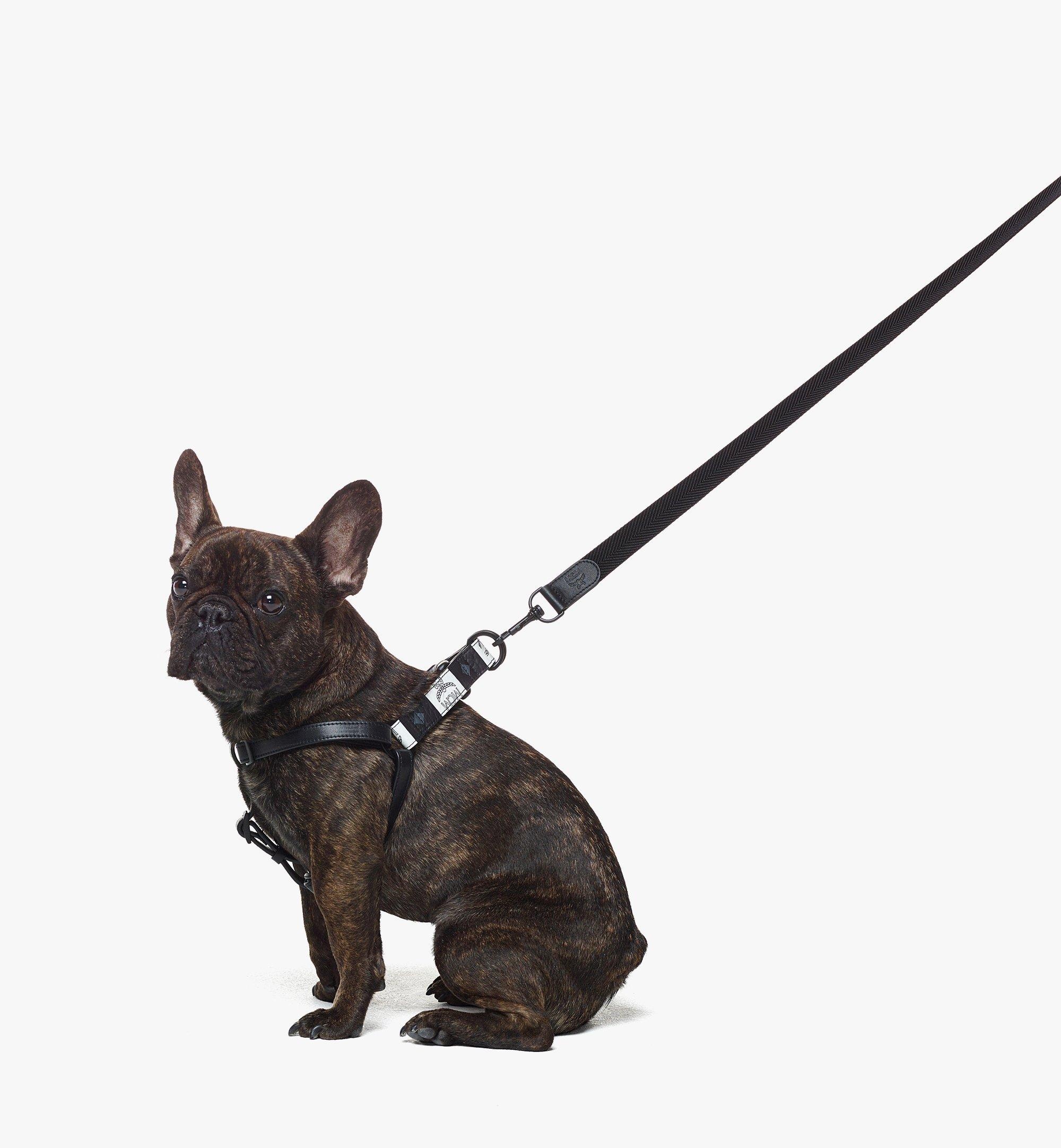 Pet Leash in Checkerboard Visetos - 2