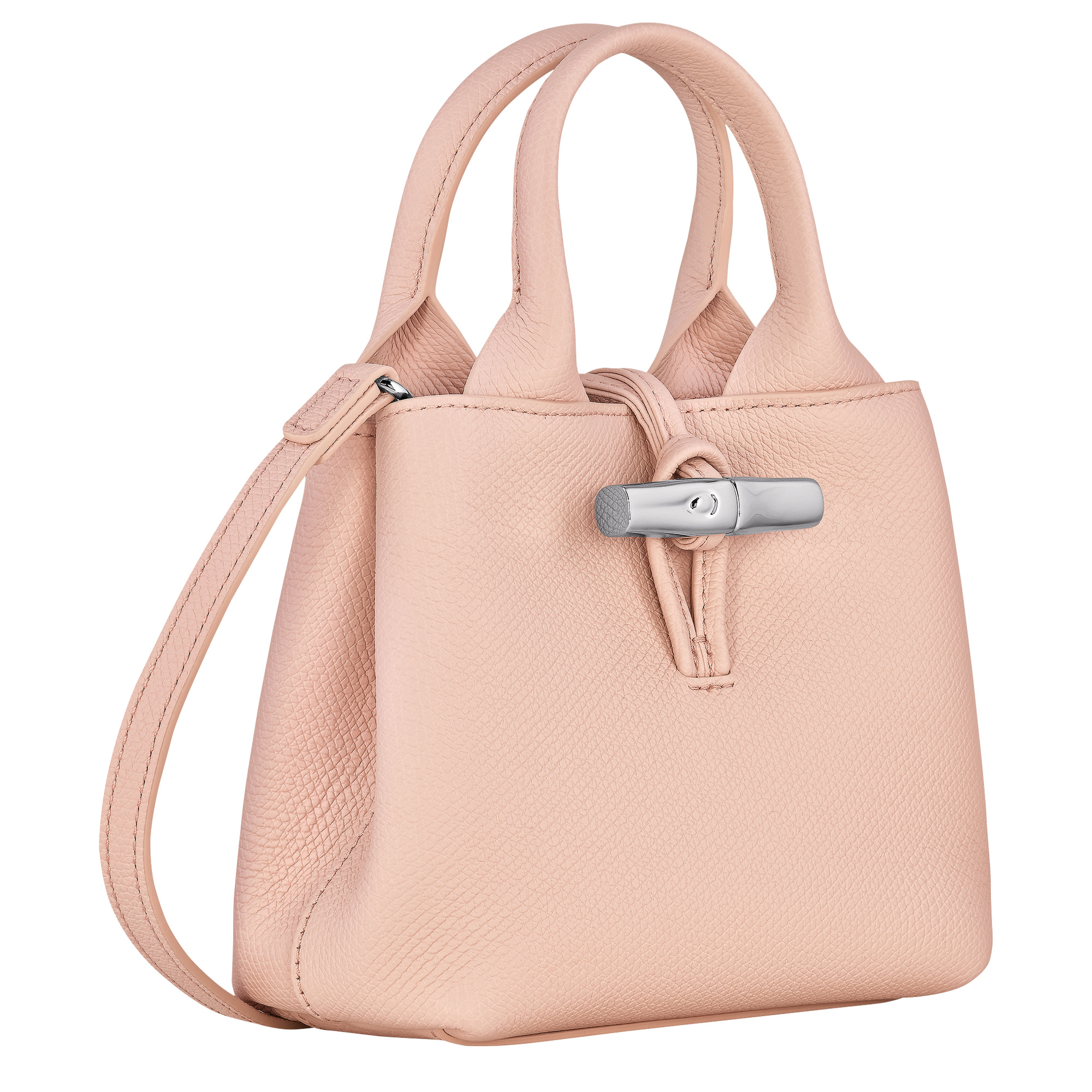 Le Roseau XS Handbag Ballerina - Leather - 3