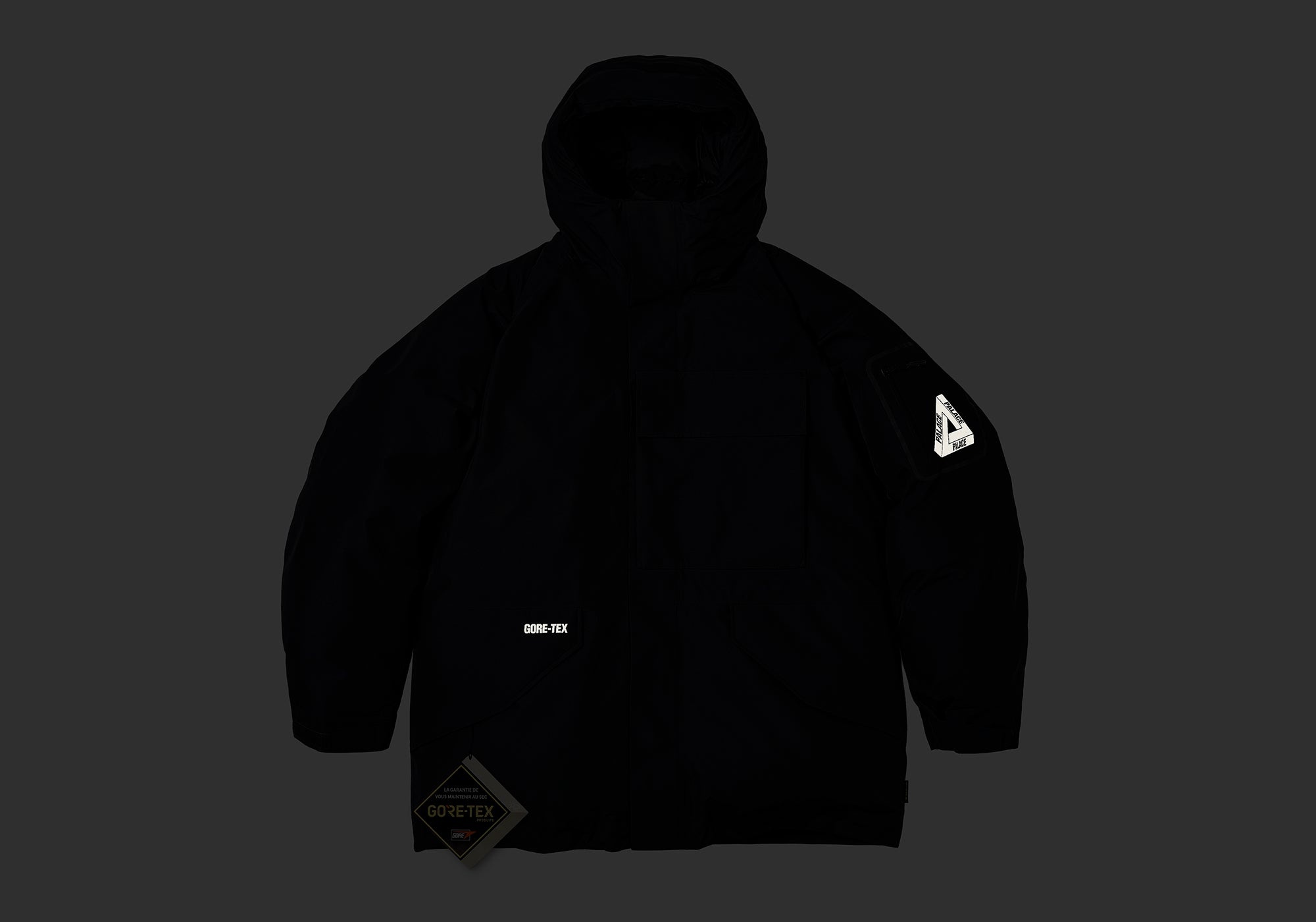 PALACE GORE-TEX CARGO DOWN PARKA BLACK | REVERSIBLE