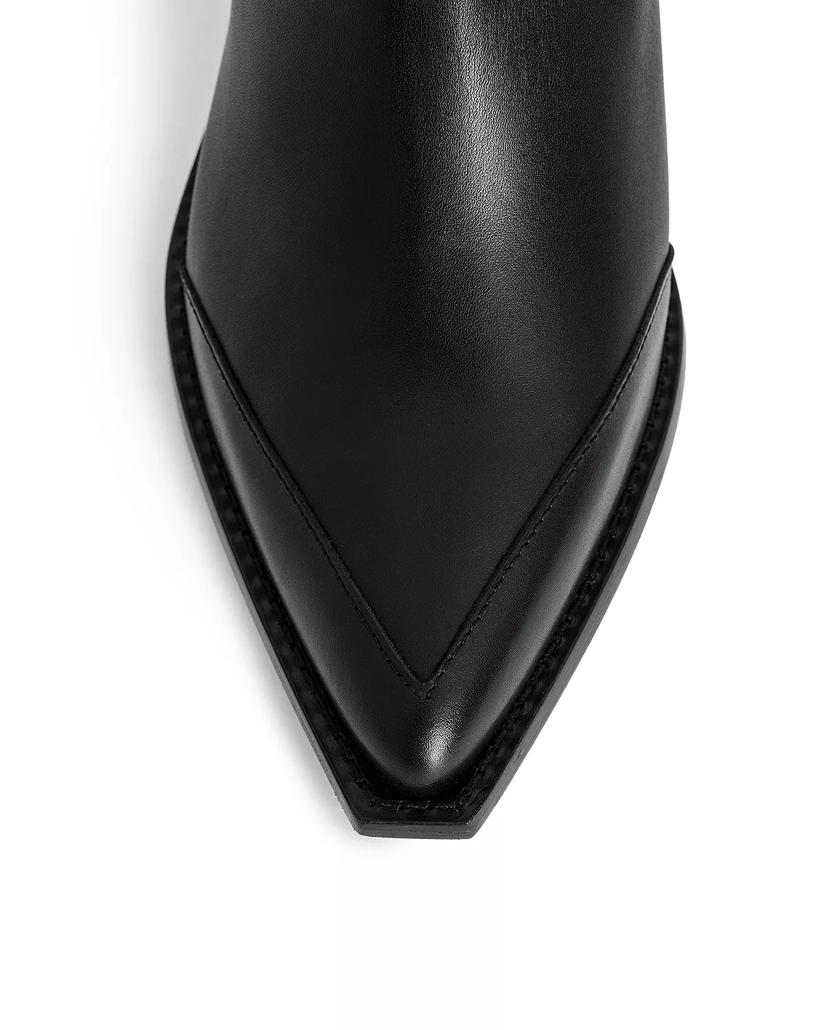 Cara Pointed Toe Ankle Boots - 6