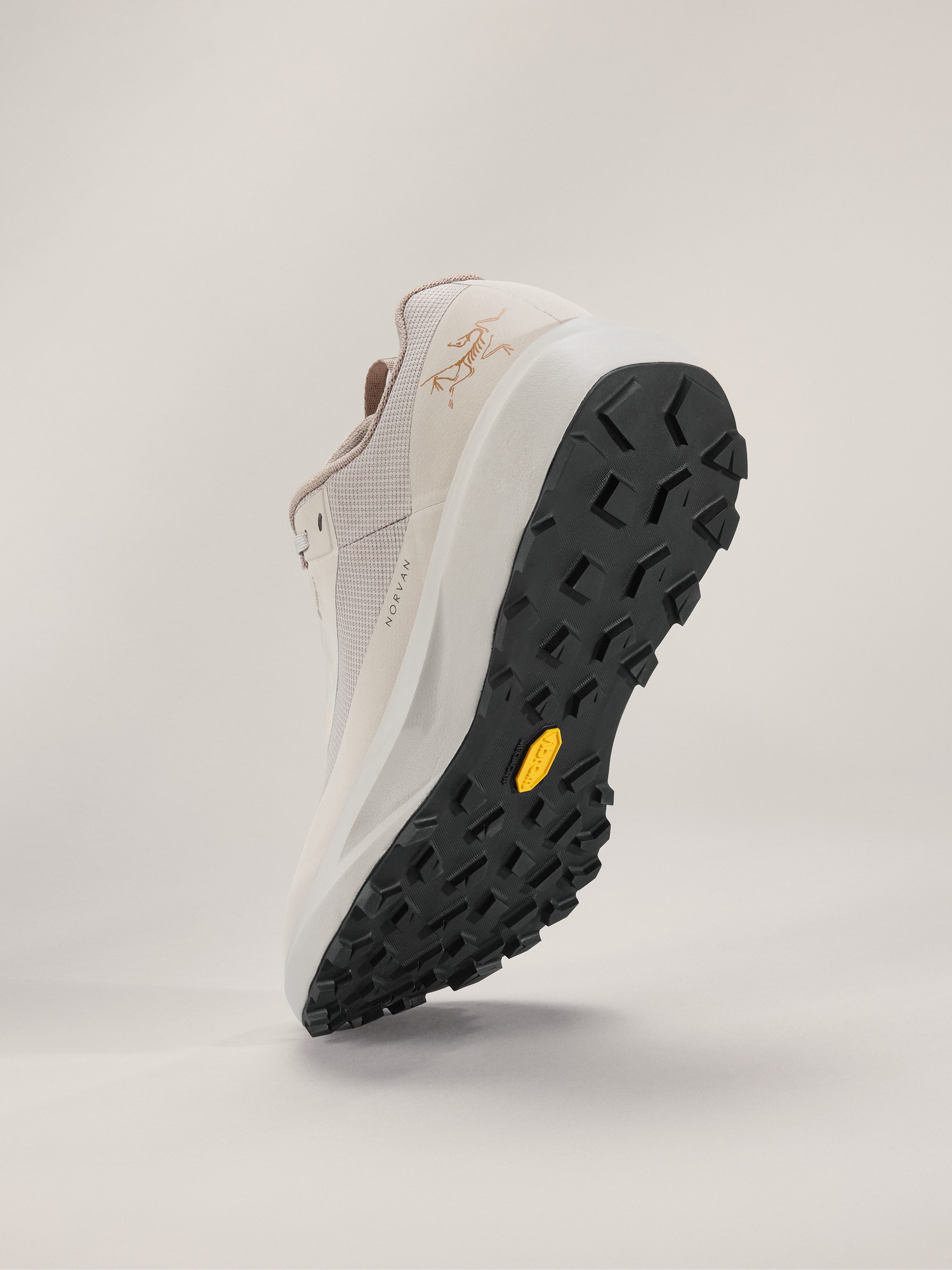 Norvan LD 4 GTX Shoe - 6