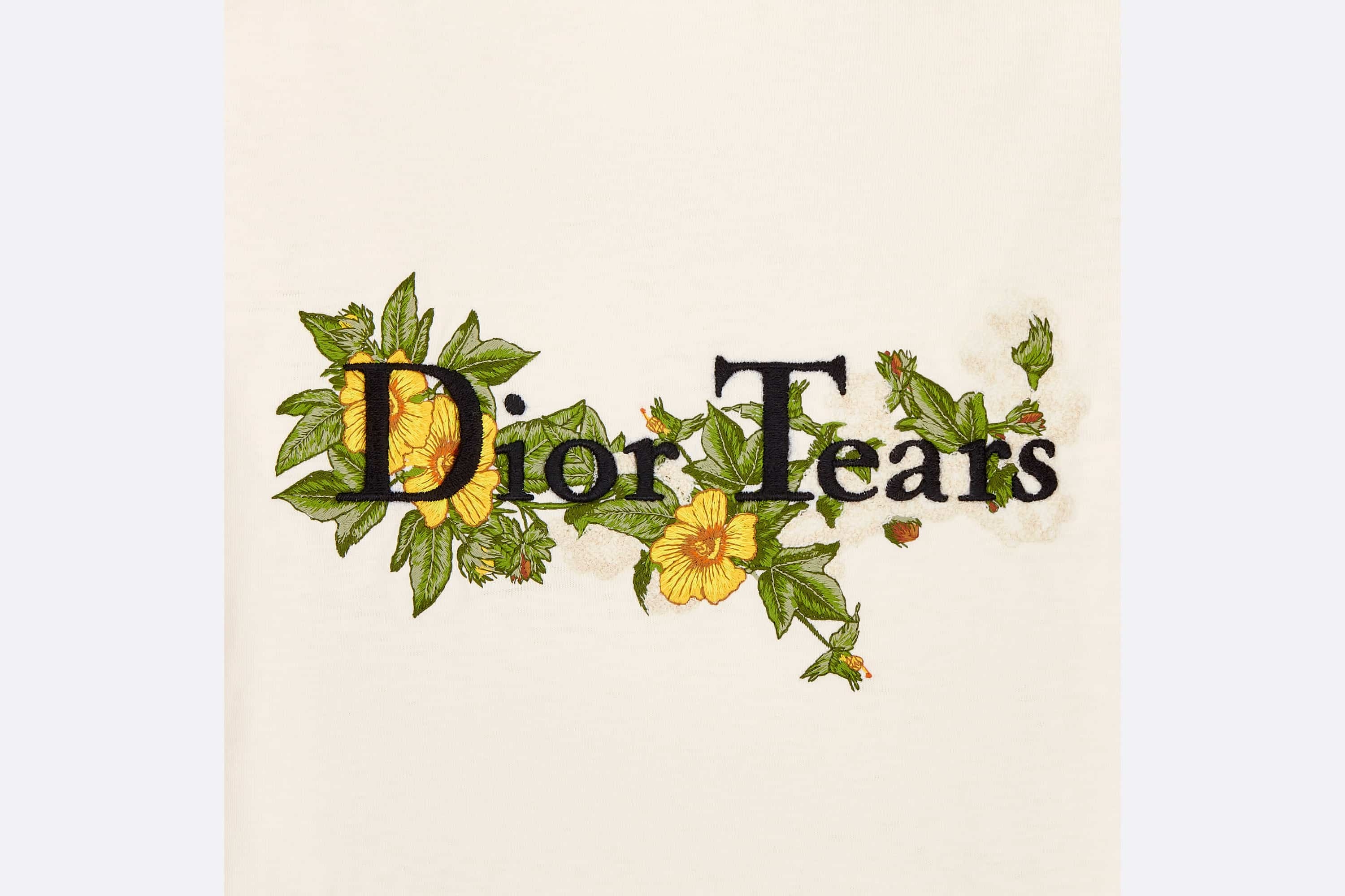 【DIOR】セール！23AW DIOR TEARS リラックスフィット Tシャツ Dior Relaxed-Fit DIOR TEARS T-Shirt | REVERSIBLE