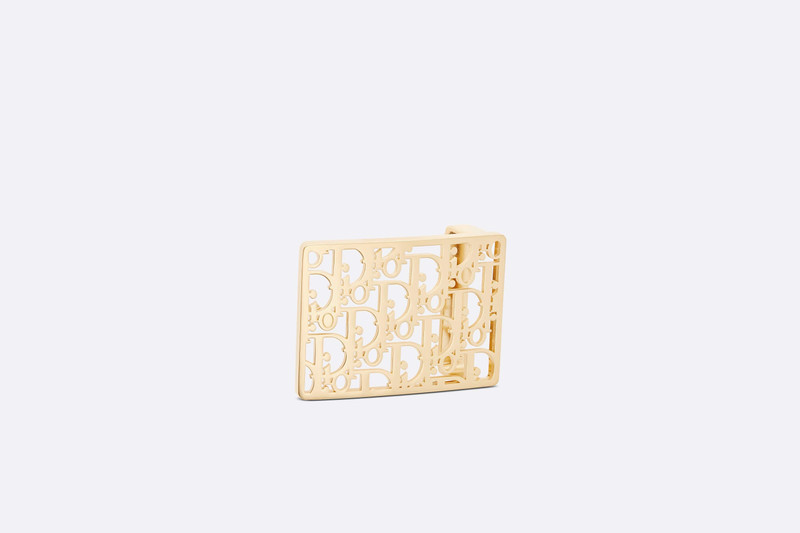 Dior Belt Buckle outlook