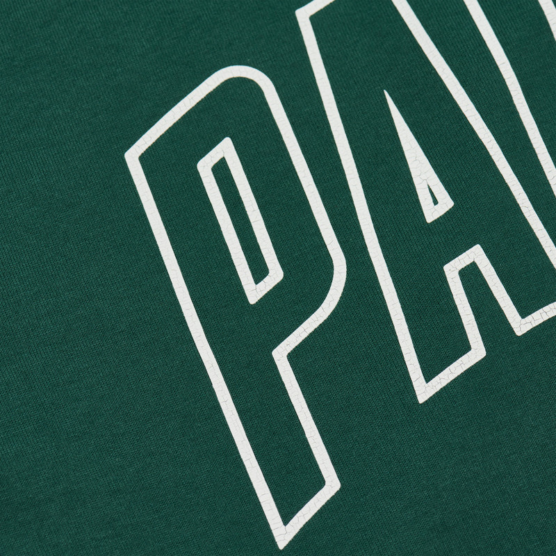 SURPRISINGLY LONGSLEEVE RACEY GREEN / GREY MARL 3