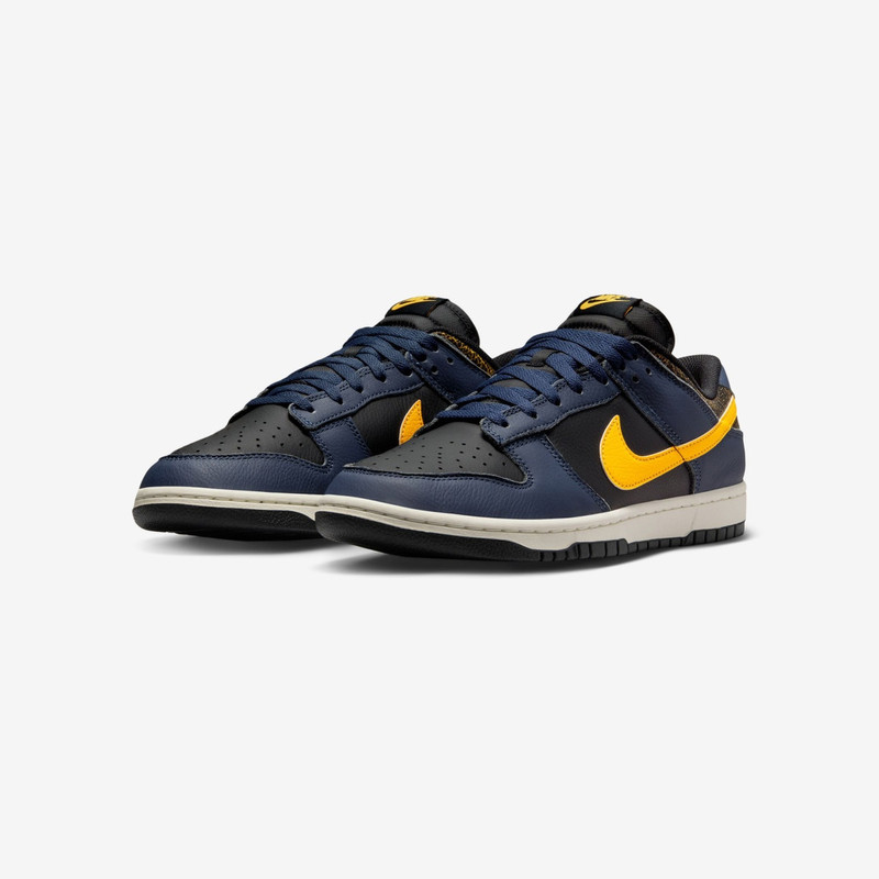 Nike Dunk Low Retro outlook