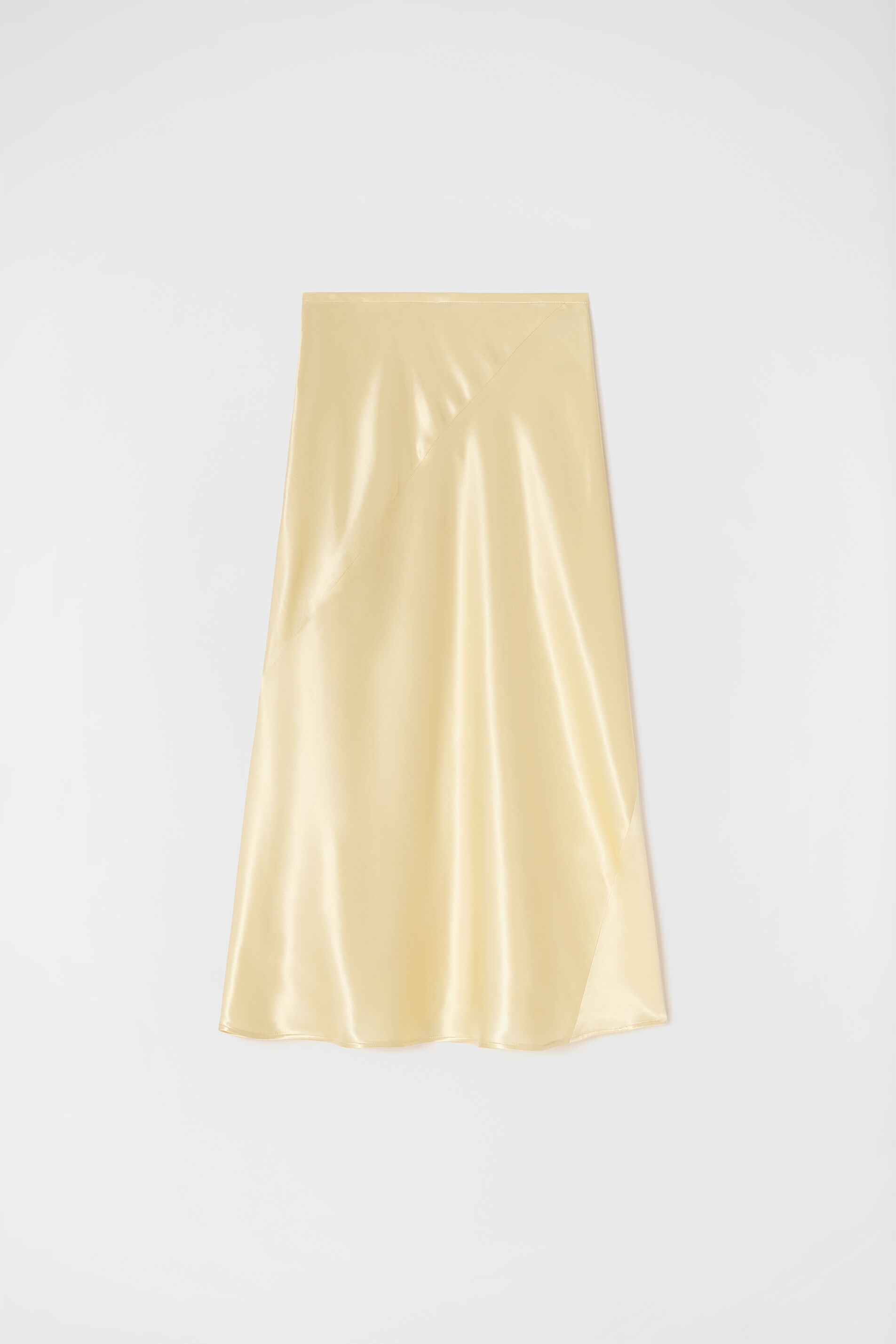 Flared Skirt - 1