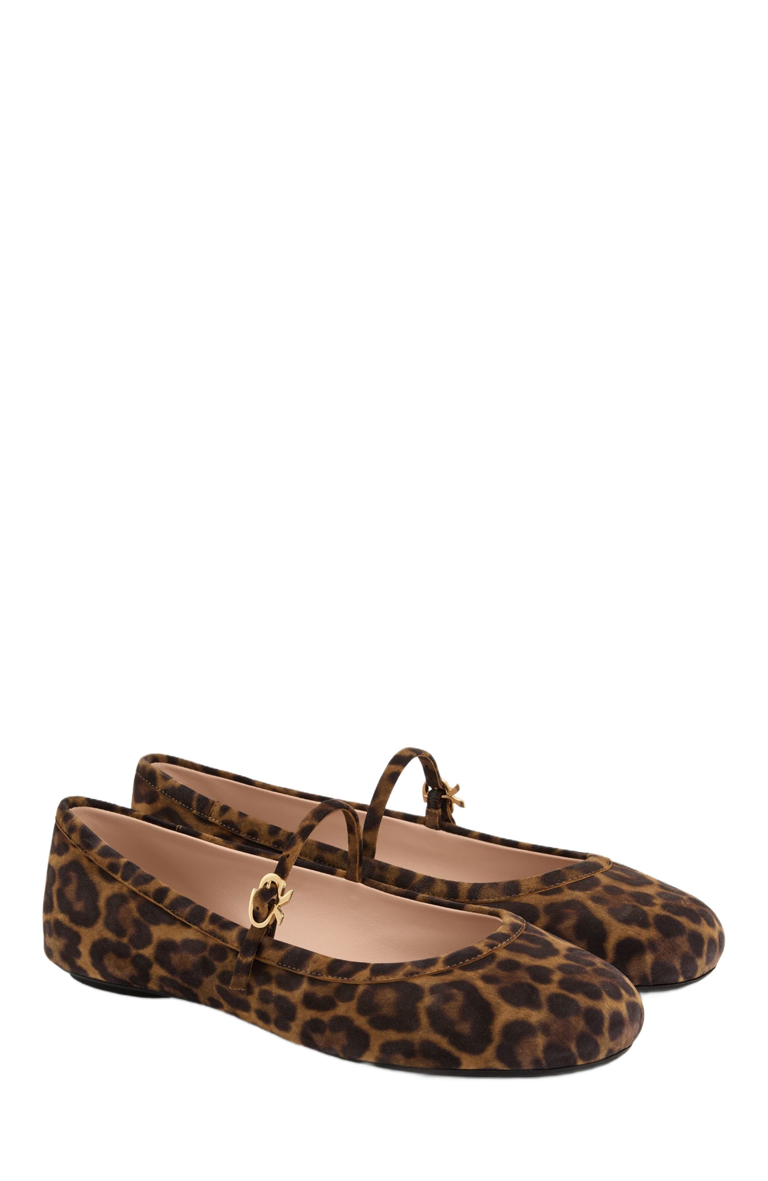 Gianvito Rossi Carla Ballerina in Leopard Brown at Nordstrom - 2