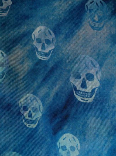 Alexander McQueen skull-print wool scarf outlook