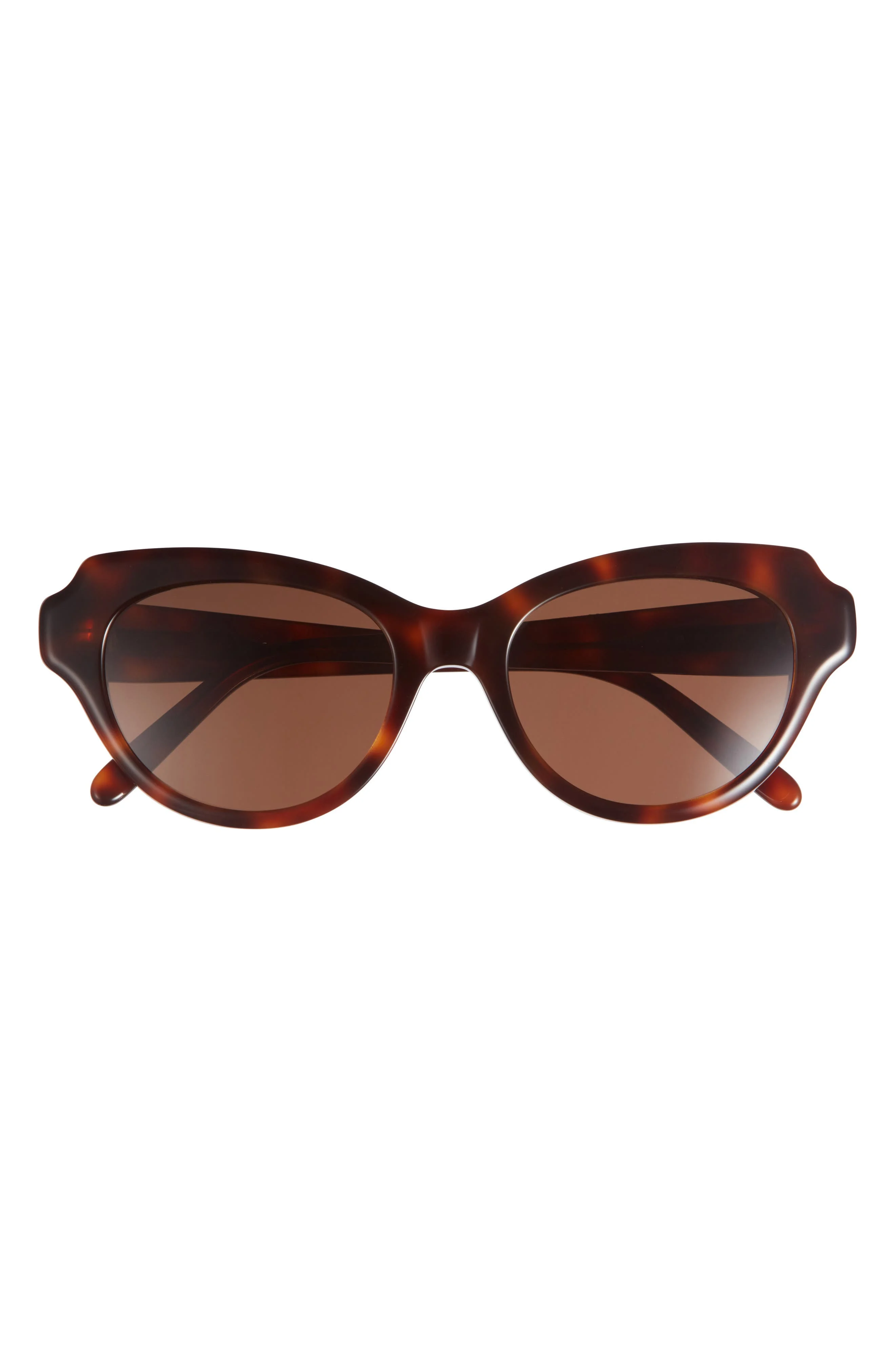 Loewe Slim 53mm Round Sunglasses in Dark Havana /Brown at Nordstrom - 1