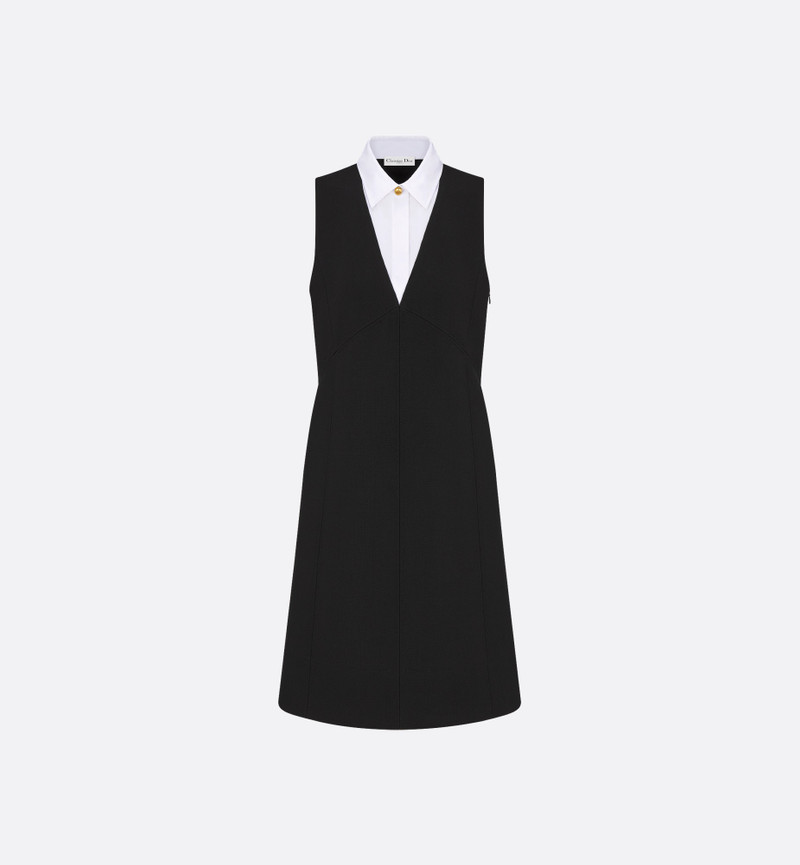 Dress with Spread Collar 1