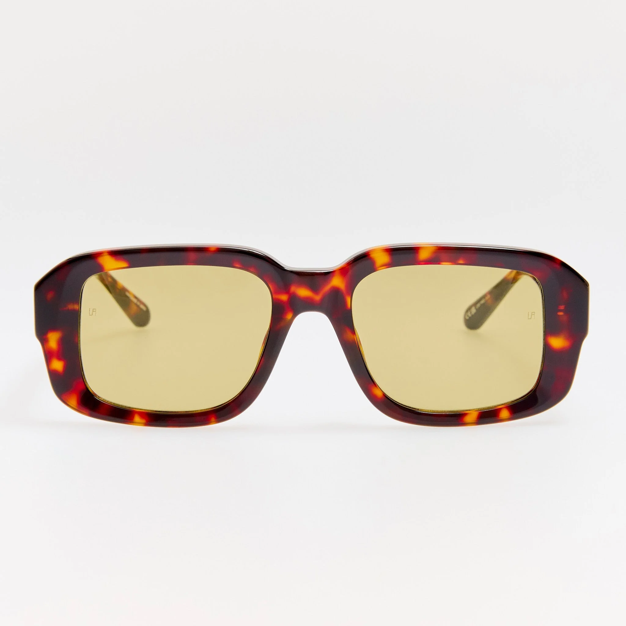 Delmare Sunglasses in Dark Tortoiseshell - 1