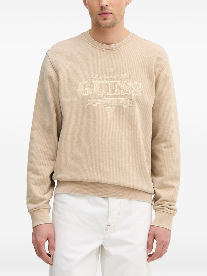 embroidered sweatshirt 1