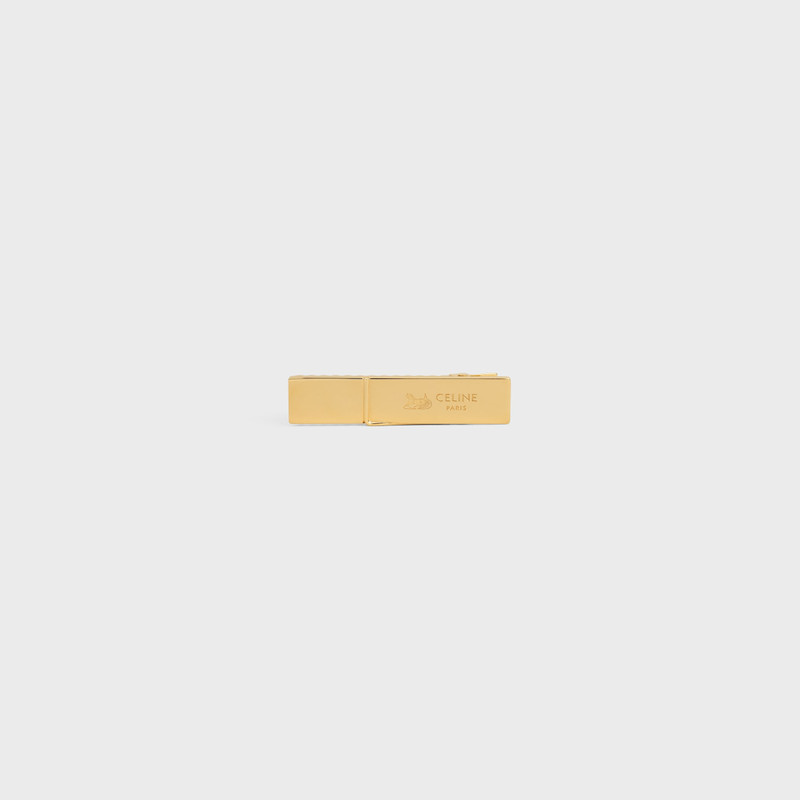 Celine Sulky Hair Clip in Brass with Gold Finish and Steel 1