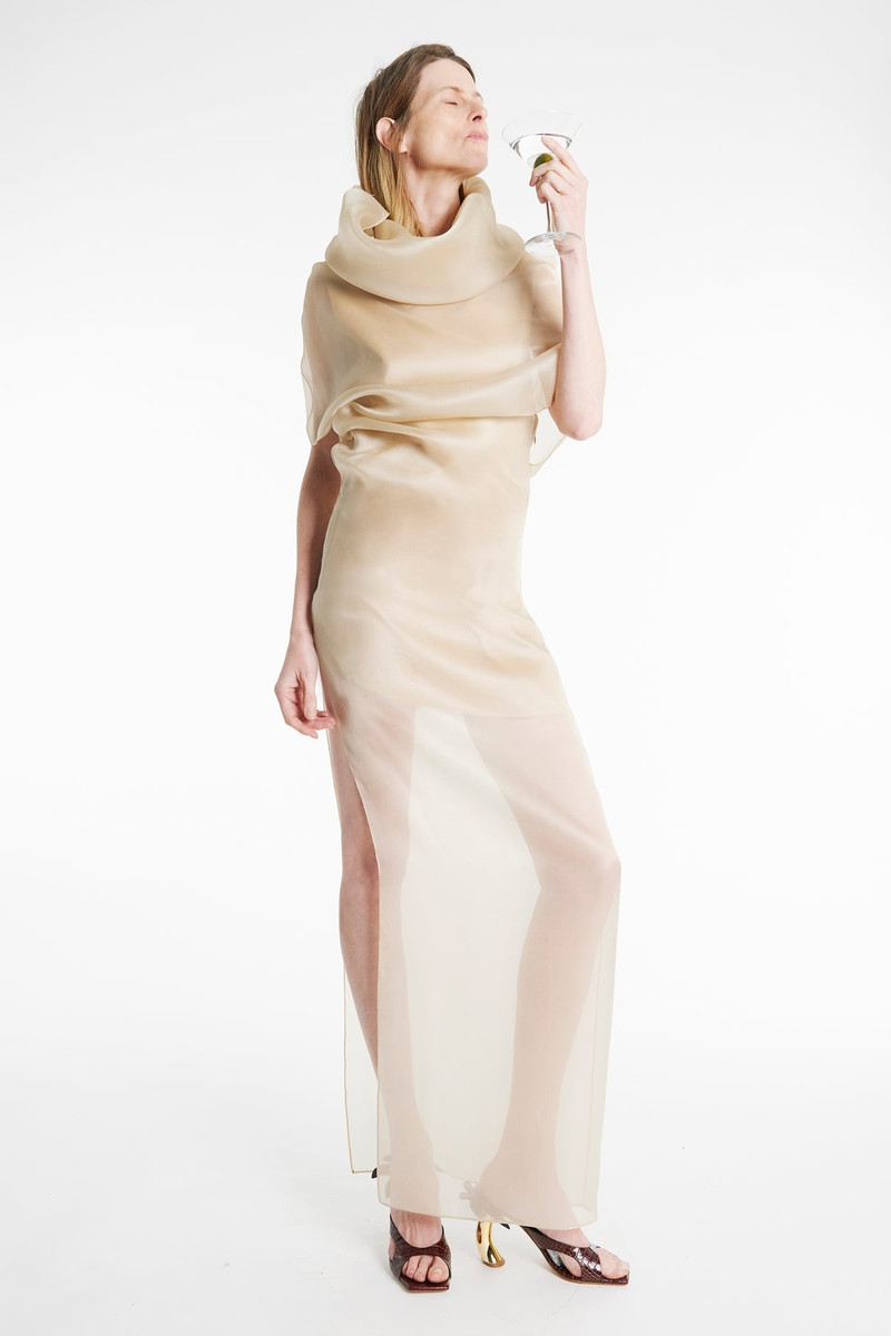 ORGANZA DRESS CHAMPAGNE 1
