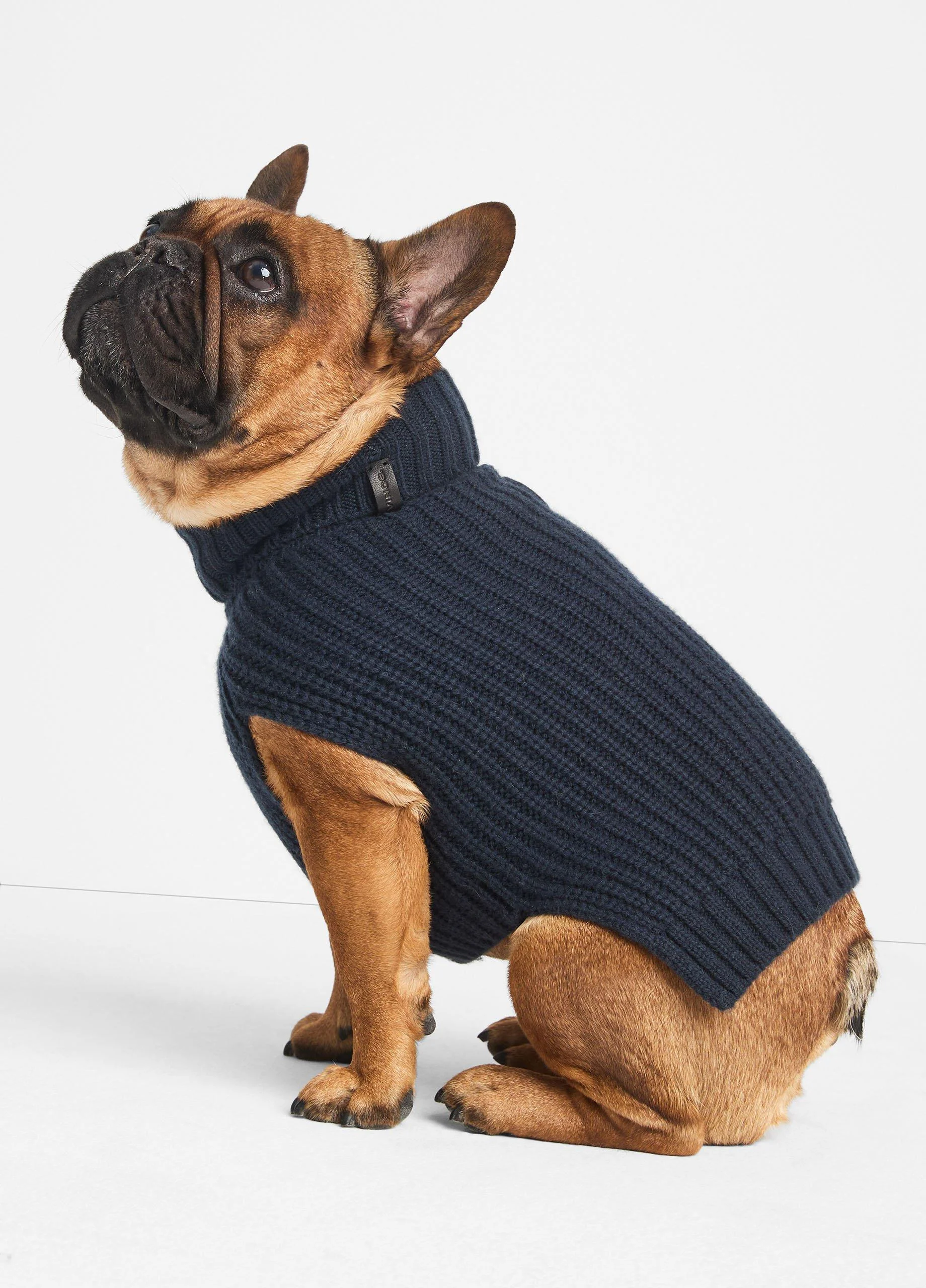 Wool and Cashmere Shaker-Stitch Dog Sweater - 1