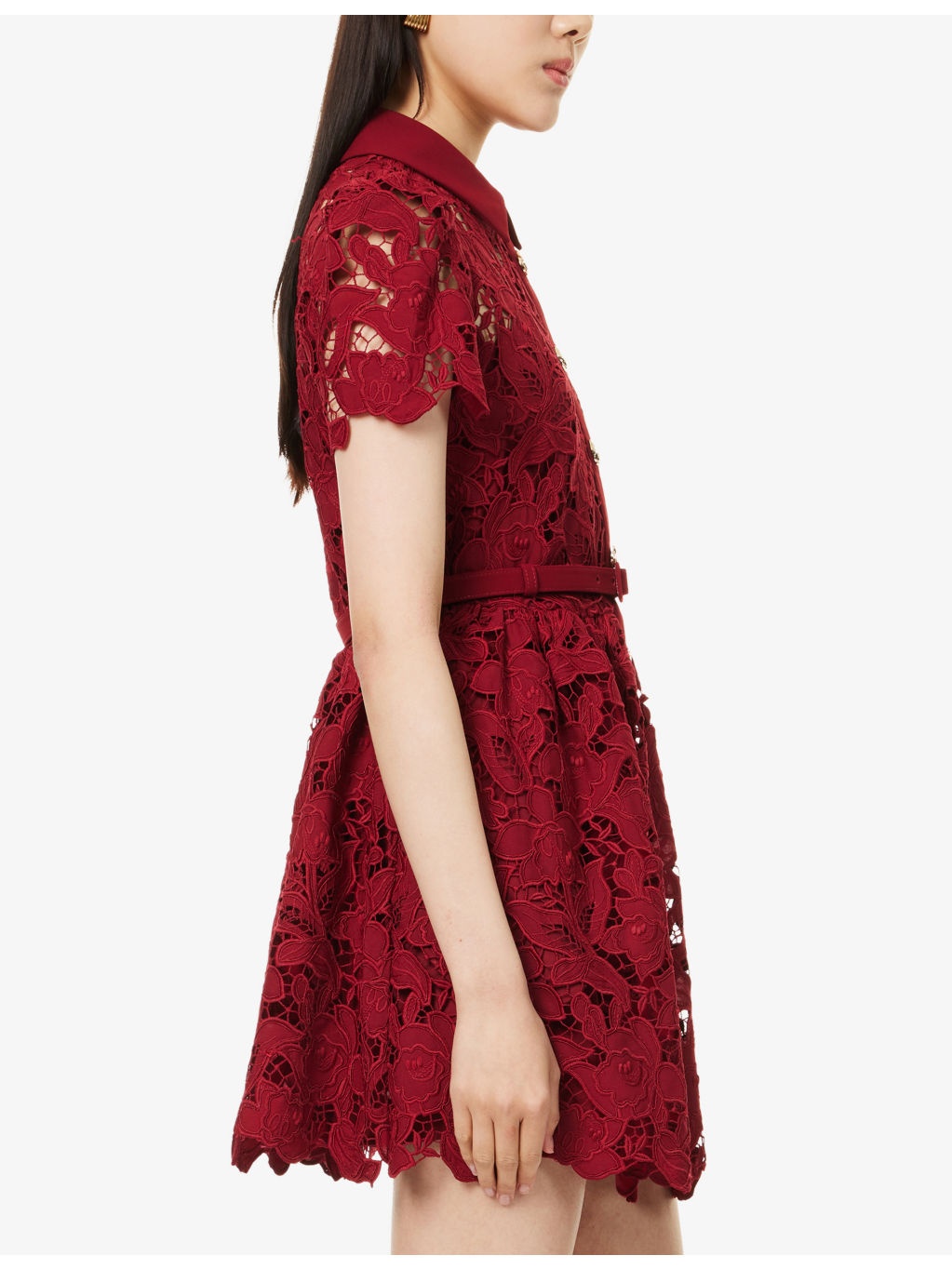 Embroidered Collared Lace Mini Dress - 3