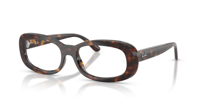 RB2221V OPTICS 1
