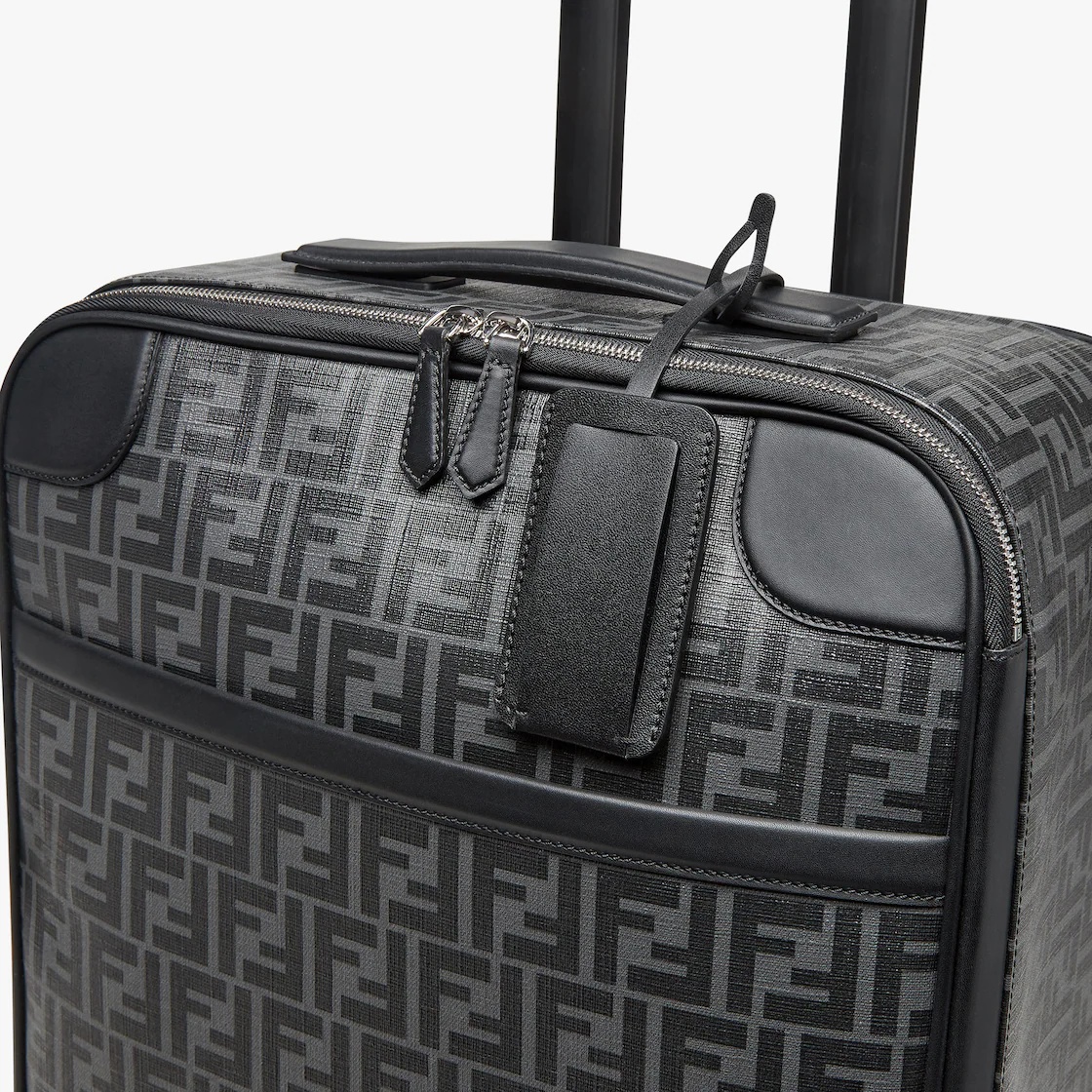 Cabin Size Trolley - 5