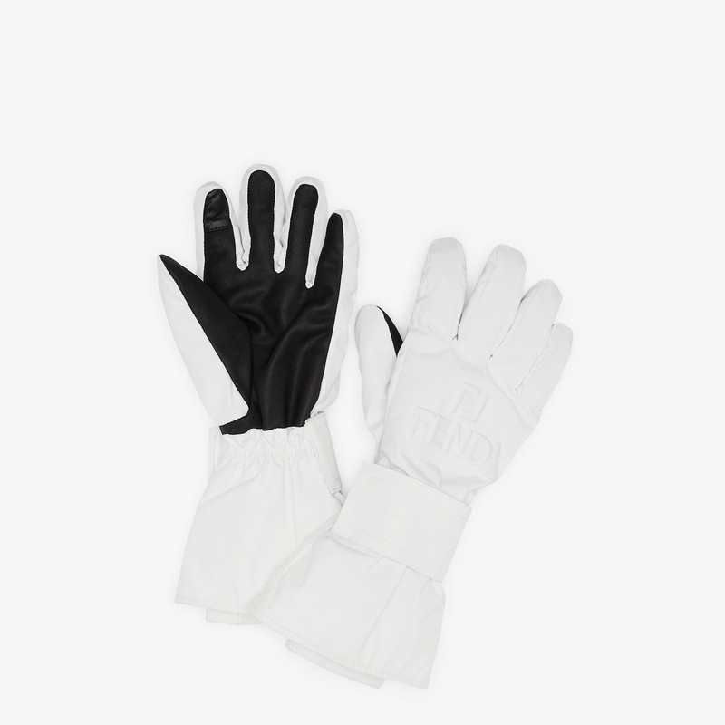 Ski Gloves 1
