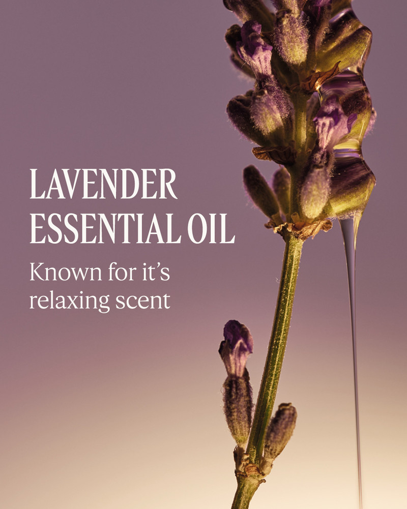 Lavender Collection 3