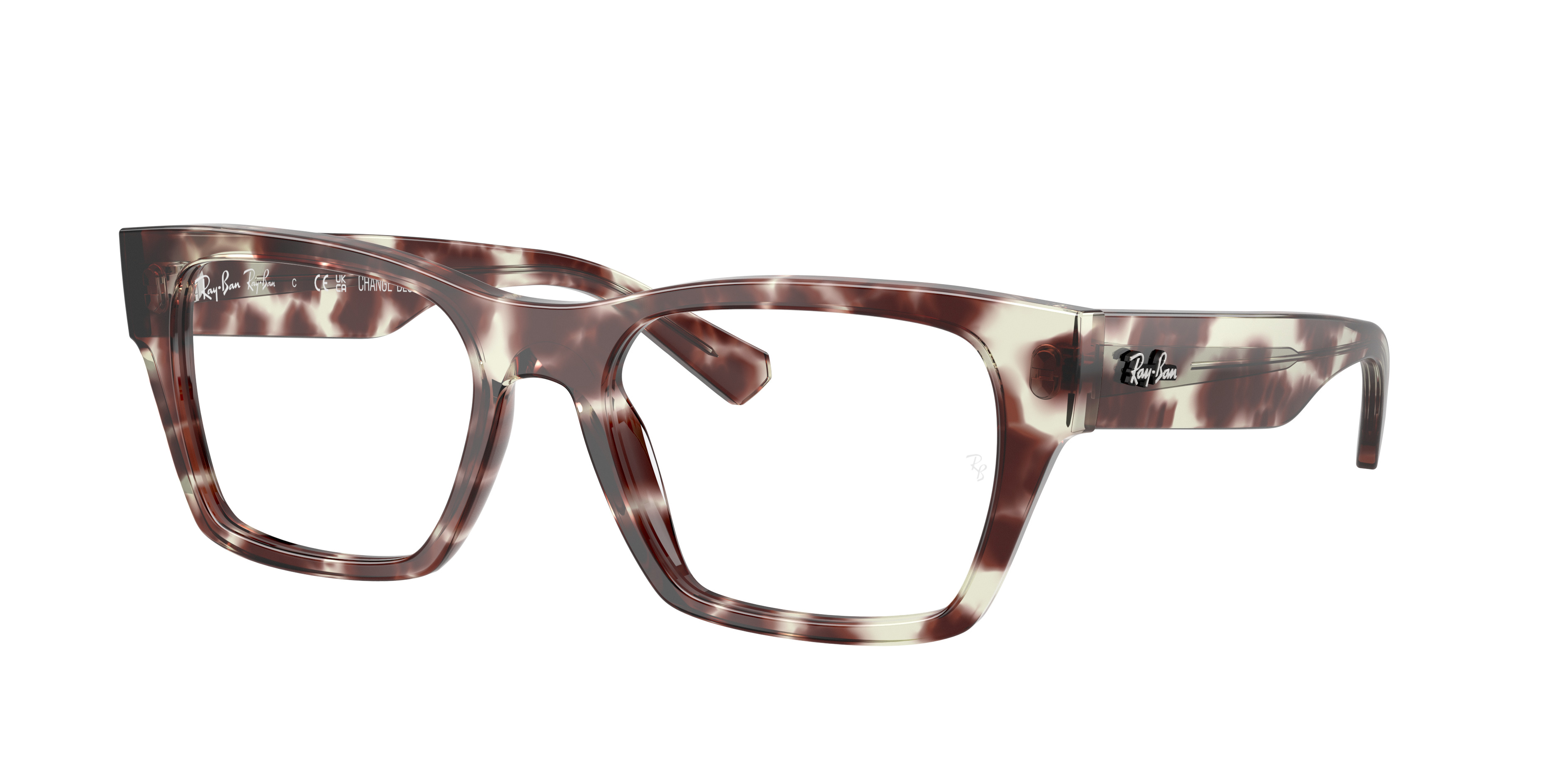 RB5448 OPTICS - 3